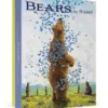 Bears by Bissell Boxed Notecard Assortment