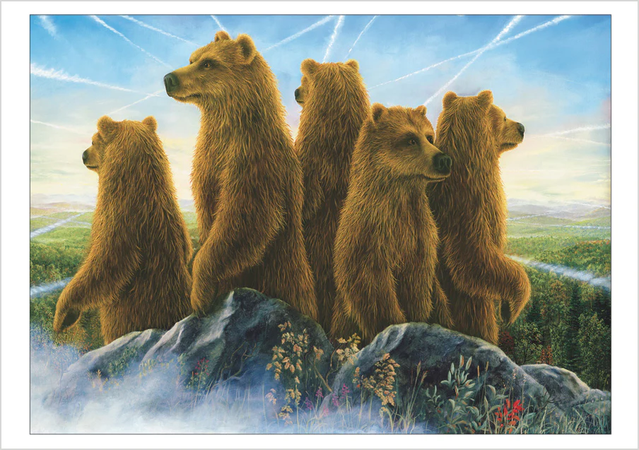 Bears by Bissell Boxed Notecard Assortment