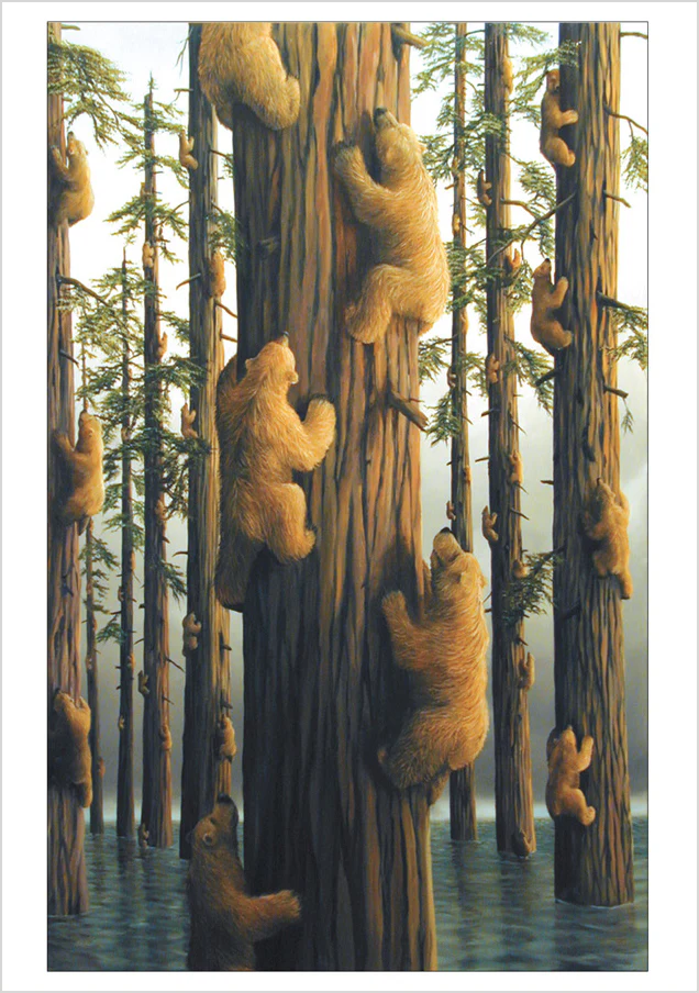 Bears by Bissell Boxed Notecard Assortment