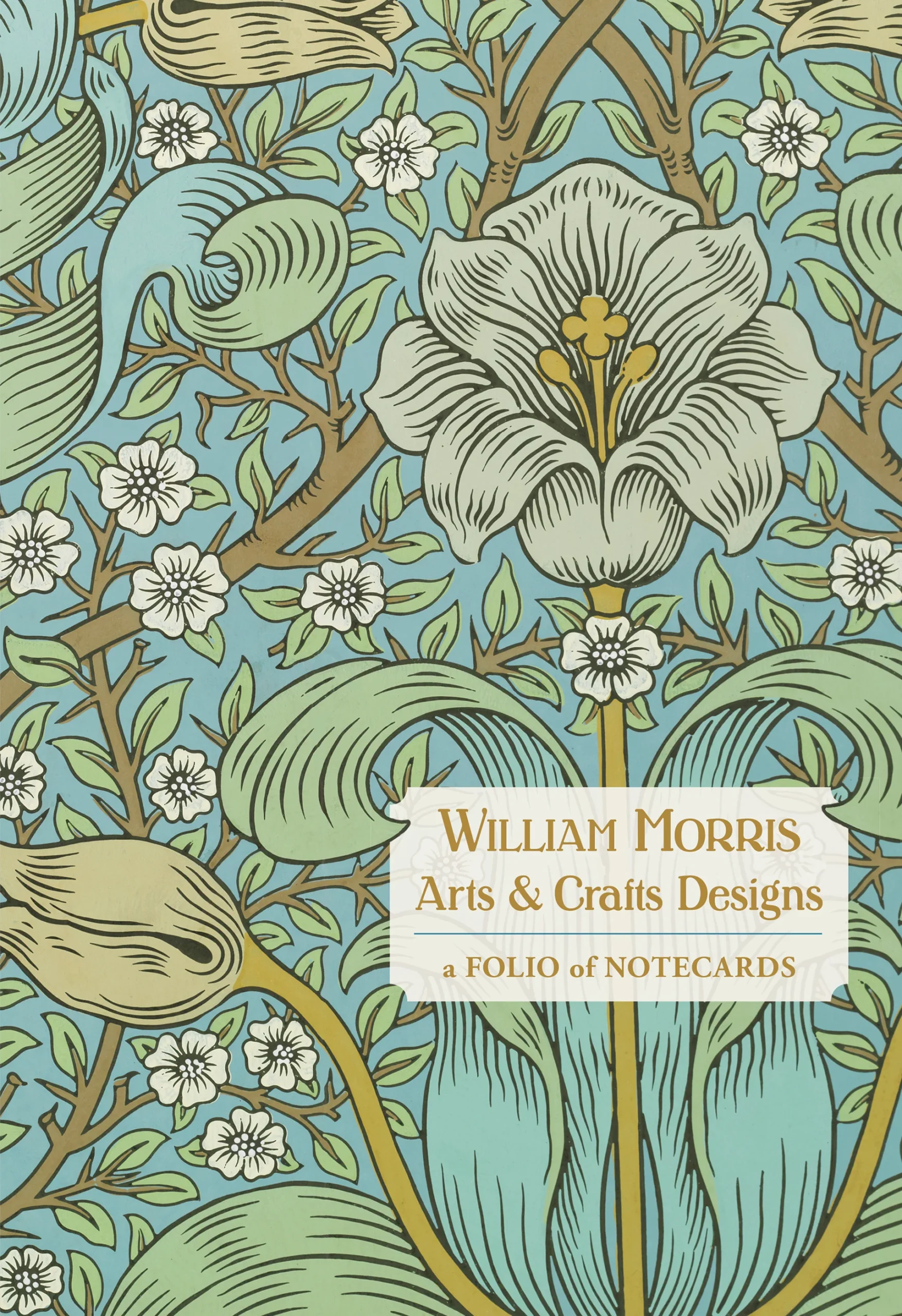 William Morris: Arts & Crafts Designs Notecard Folio