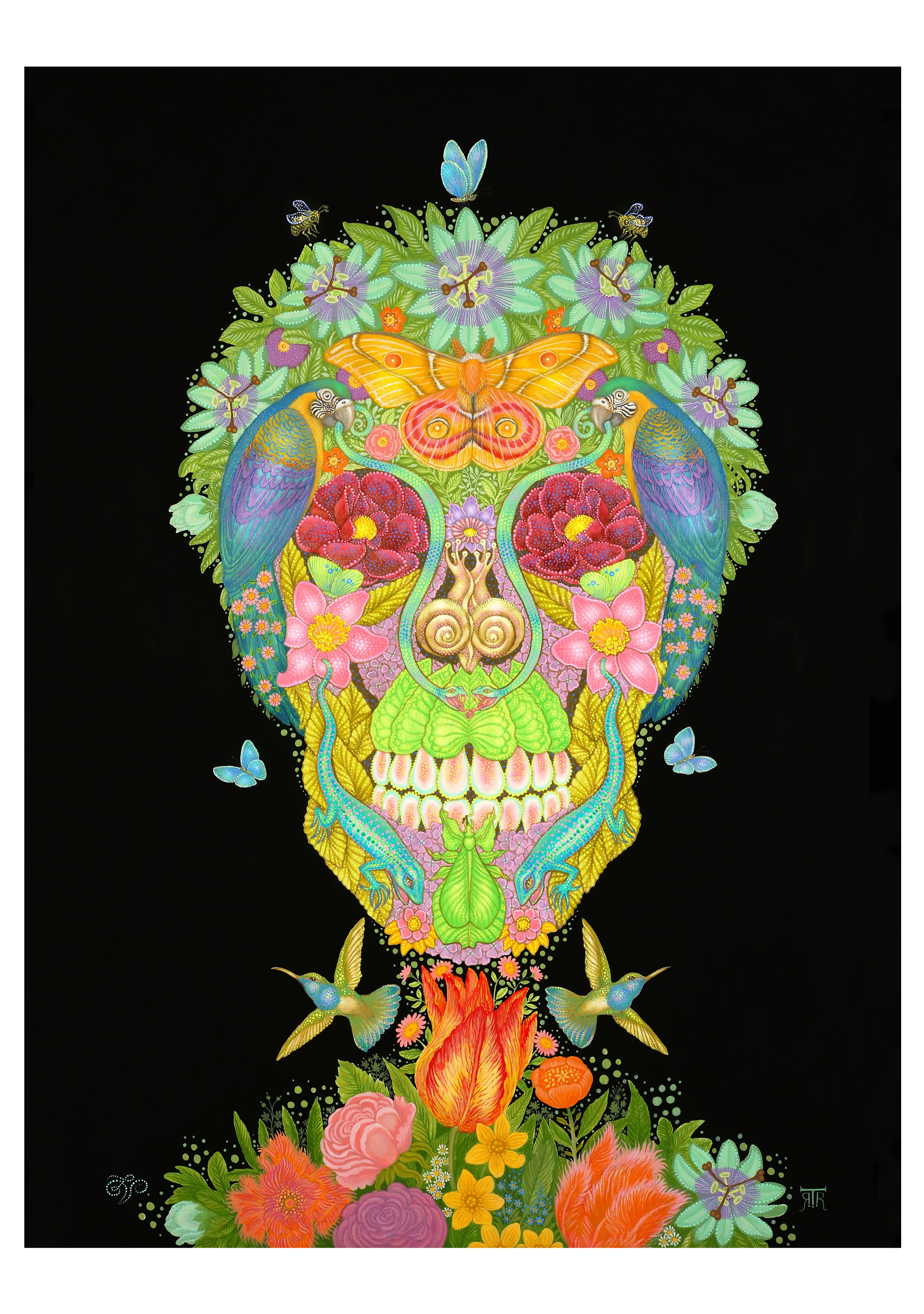 Day of the Dead: Tino Rodriguez & Virgo Paraiso Boxed Notecard Assortment 5 Day of the Dead: Tino Rodriguez & Virgo Paraiso Boxed Notecard Assortment
