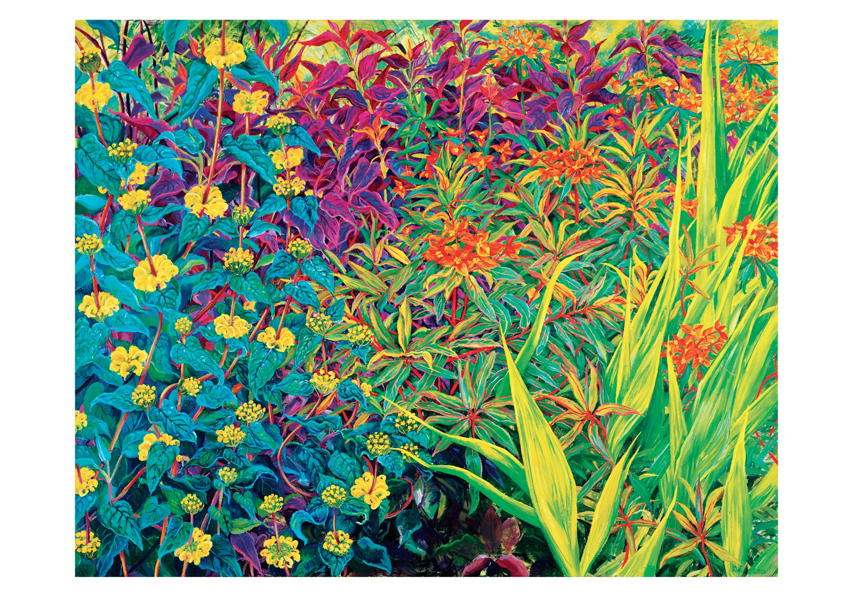 Rosalind Wise: Garden Border Small Boxed Cards 2 Rosalind Wise: Garden Border Small Boxed Cards