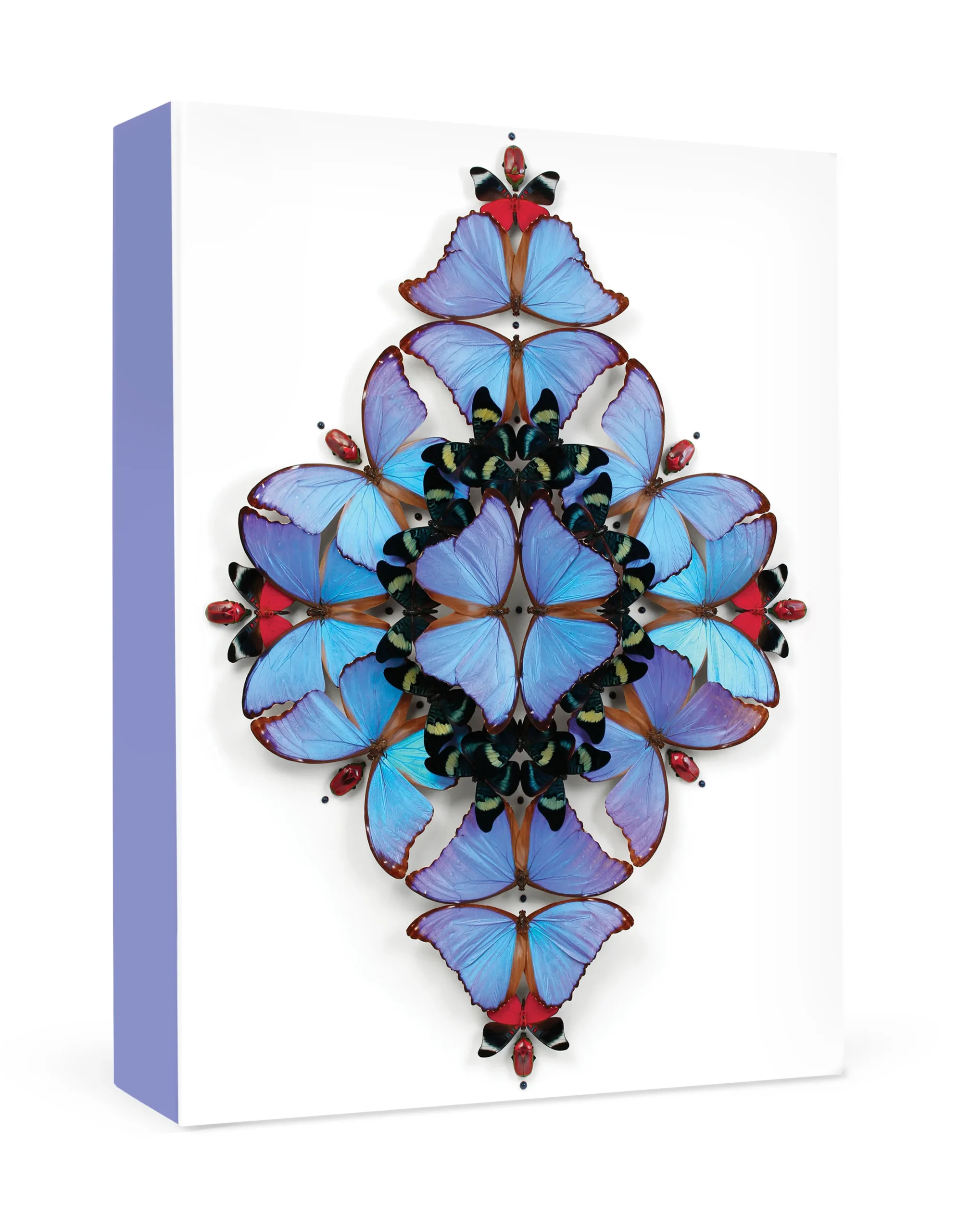 Christopher Marley: Sinfonietta Small Boxed Cards