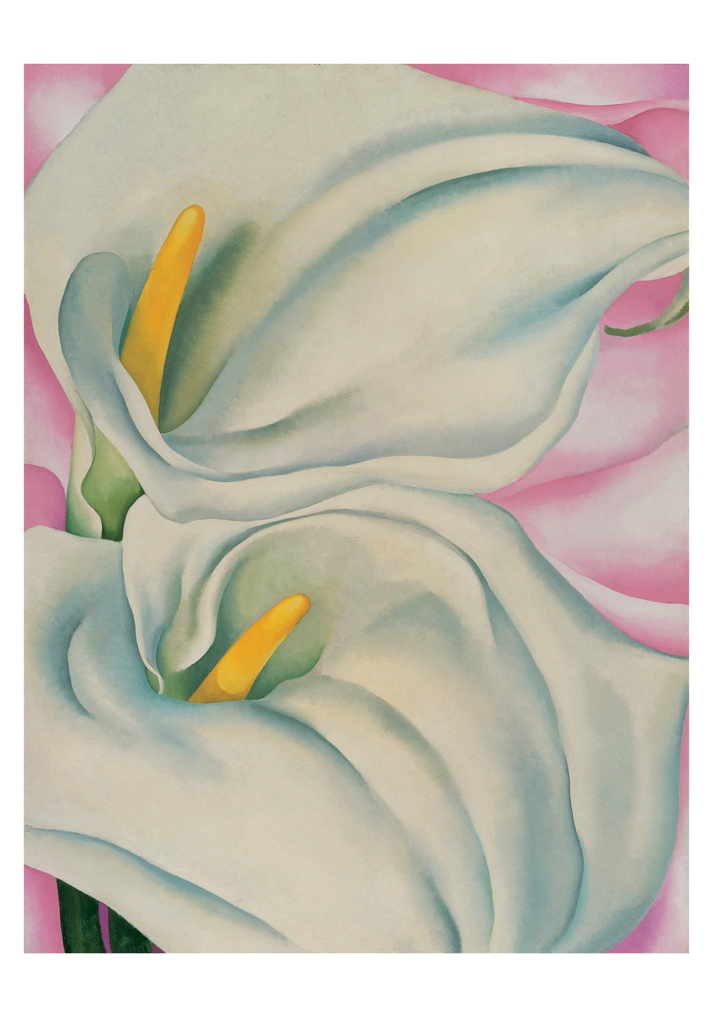 Georgia O’Keeffe: Two Calla Lilies on Pink Small Boxed Cards