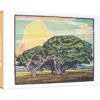 William S. Rice: Del Monte Oaks Small Boxed Cards