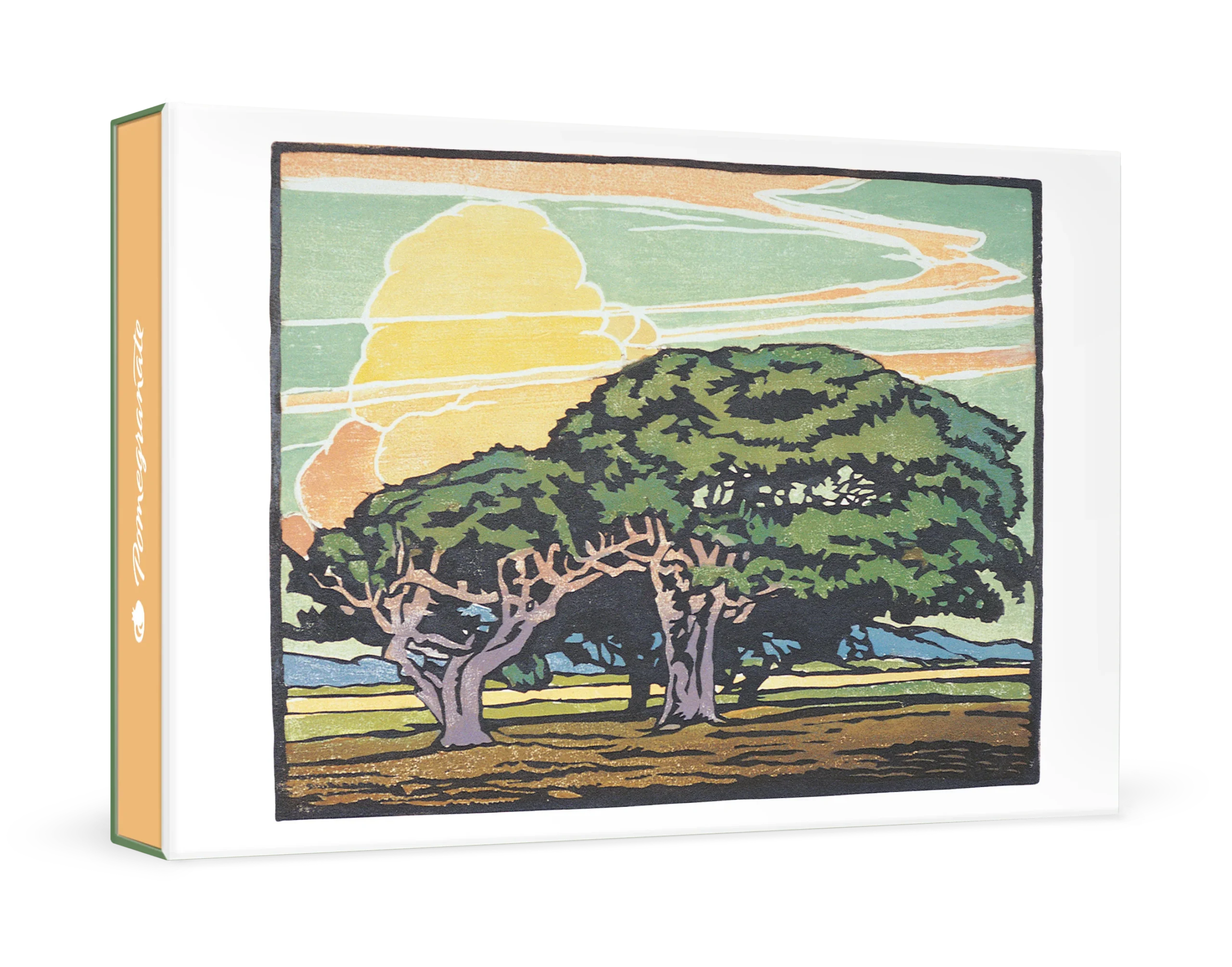 William S. Rice: Del Monte Oaks Small Boxed Cards