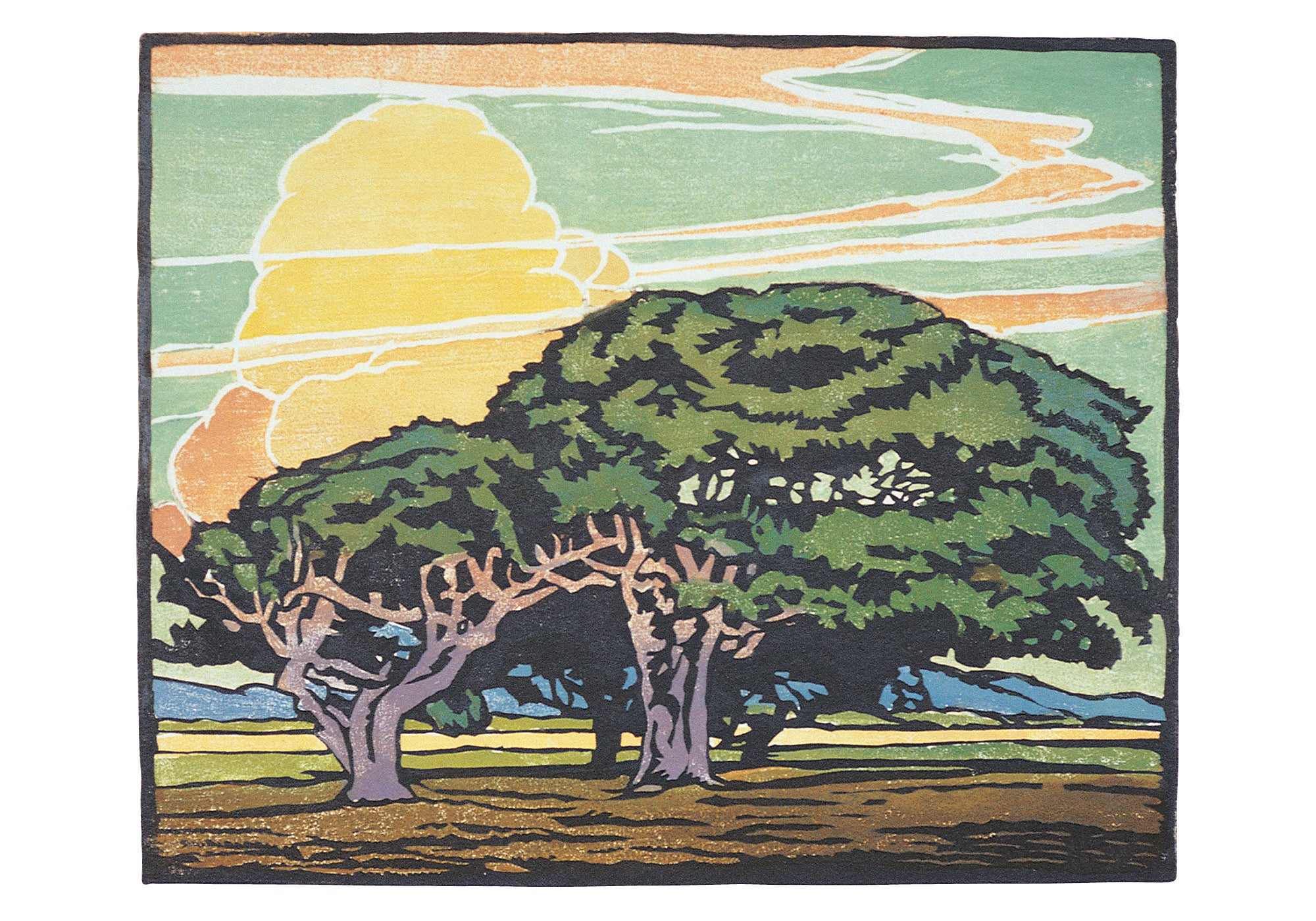 William S. Rice: Del Monte Oaks Small Boxed Cards