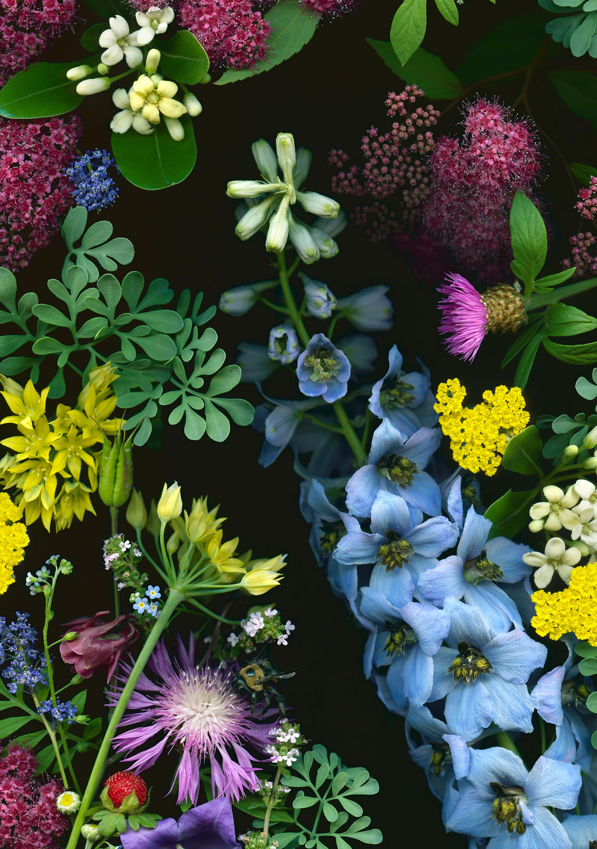 Deb Stoner: Flora Boxed Notecard Assortment 3 Deb Stoner: Flora Boxed Notecard Assortment