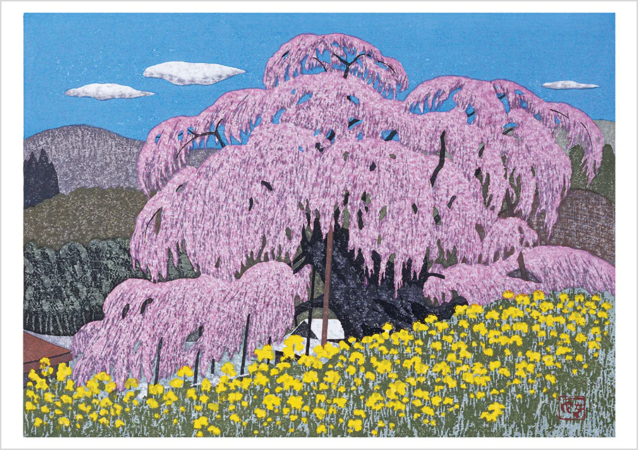 Kazuyuki Ohtsu: Cherry Trees Boxed Notecard Assortment 5 Kazuyuki Ohtsu: Cherry Trees Boxed Notecard Assortment