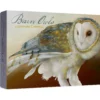 Barn Owls by Jeannine Chappell Boxed Notecard Assortment