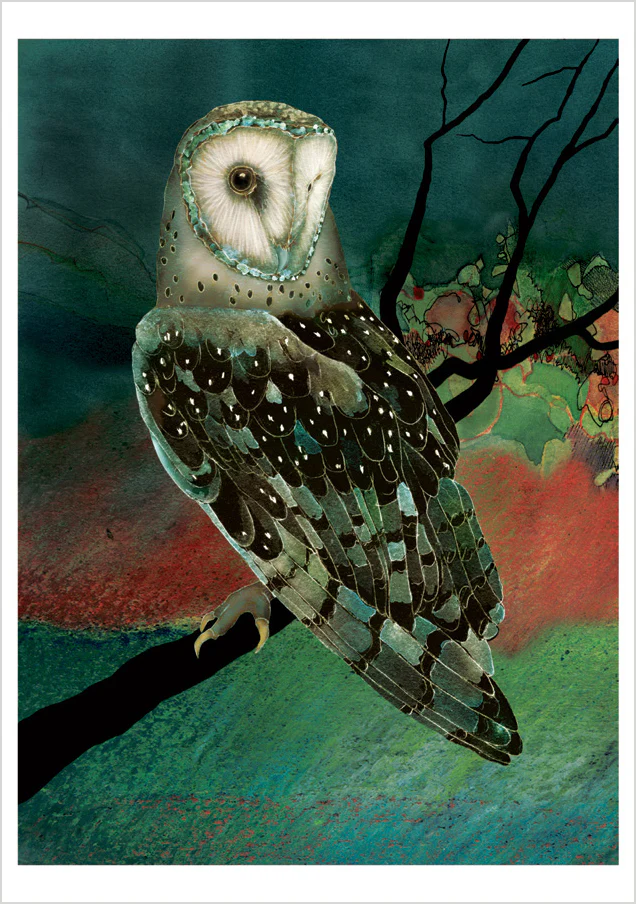 Barn Owls by Jeannine Chappell Boxed Notecard Assortment