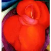 Georgia O'Keeffe Notecard Folio