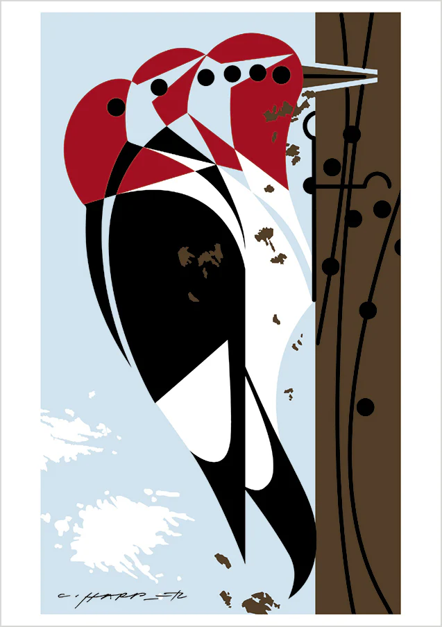 Charley Harper: Woodpeckers Notecard Folio 3 Charley Harper: Woodpeckers Notecard Folio