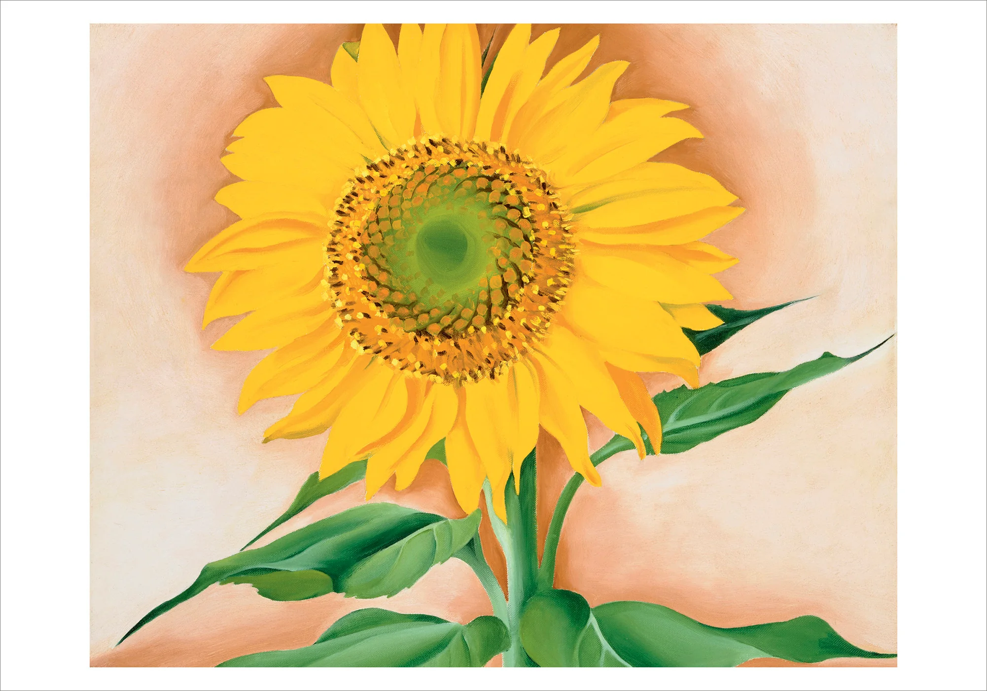 Georgia O'Keeffe: A Sunflower from Maggie Small Boxed Cards