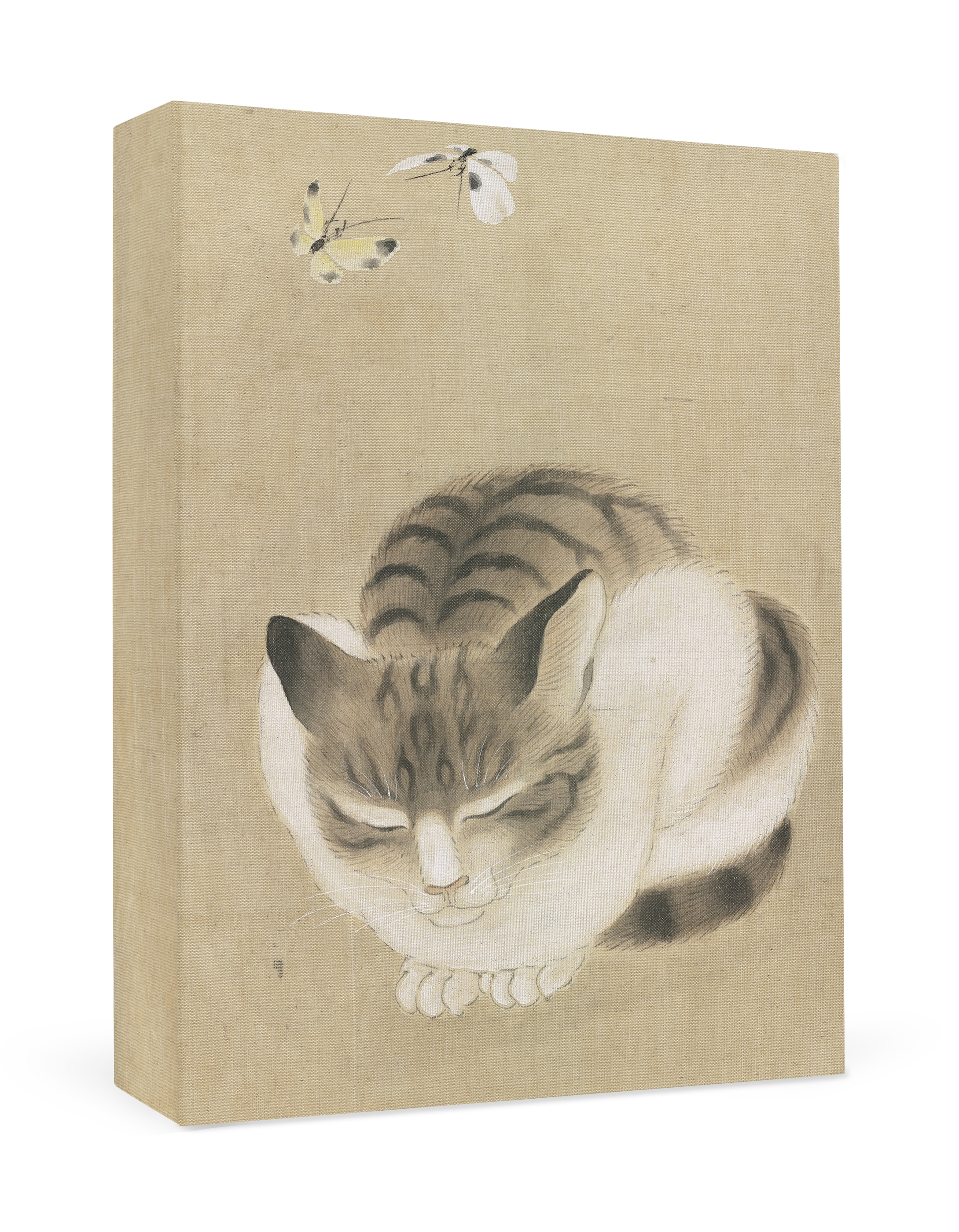 Sleeping Cat and Butterflies Small Boxed Cards