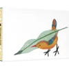 Qavavau Manumie: Feathering the Nest Small Boxed Cards