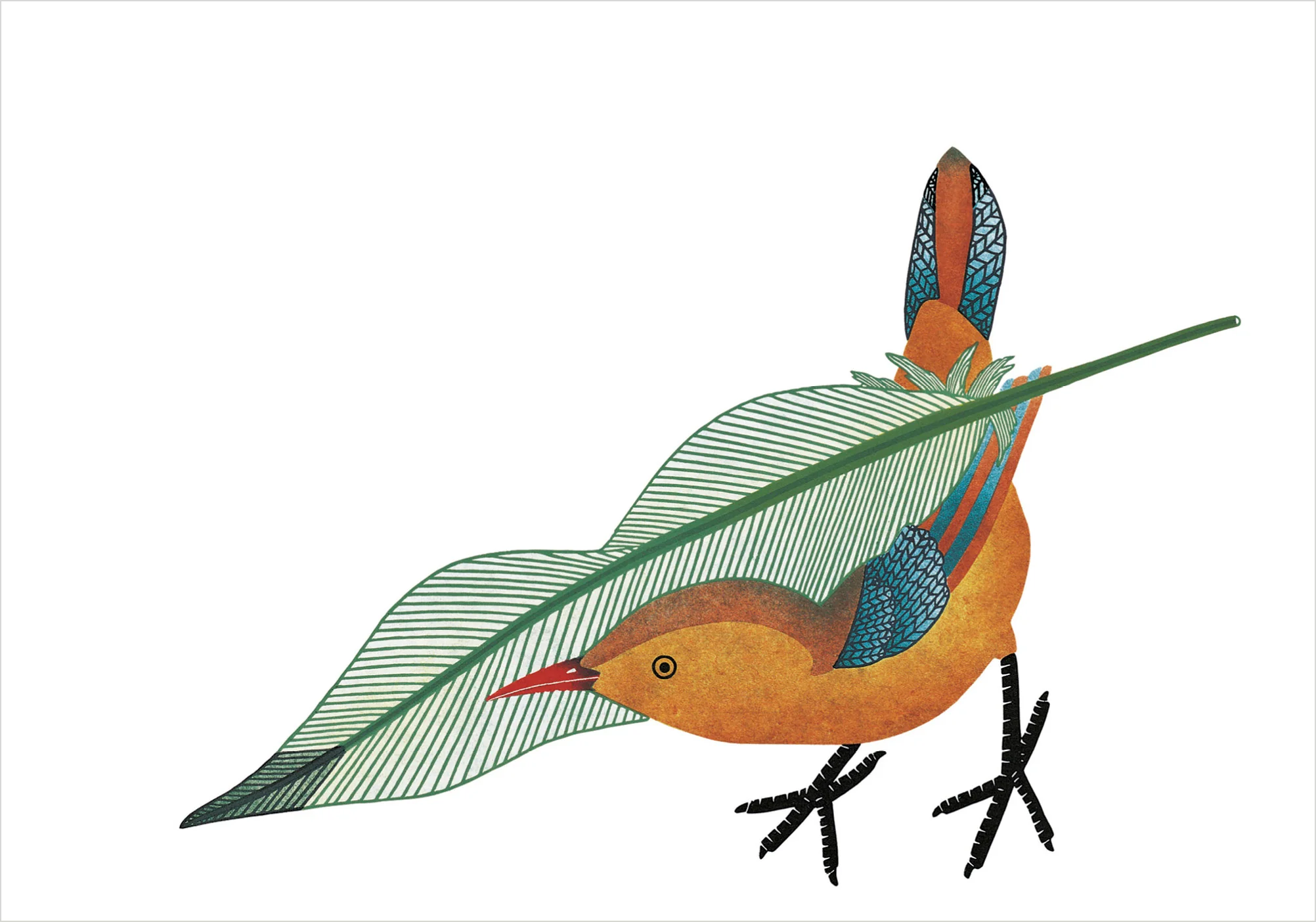 Qavavau Manumie: Feathering the Nest Small Boxed Cards