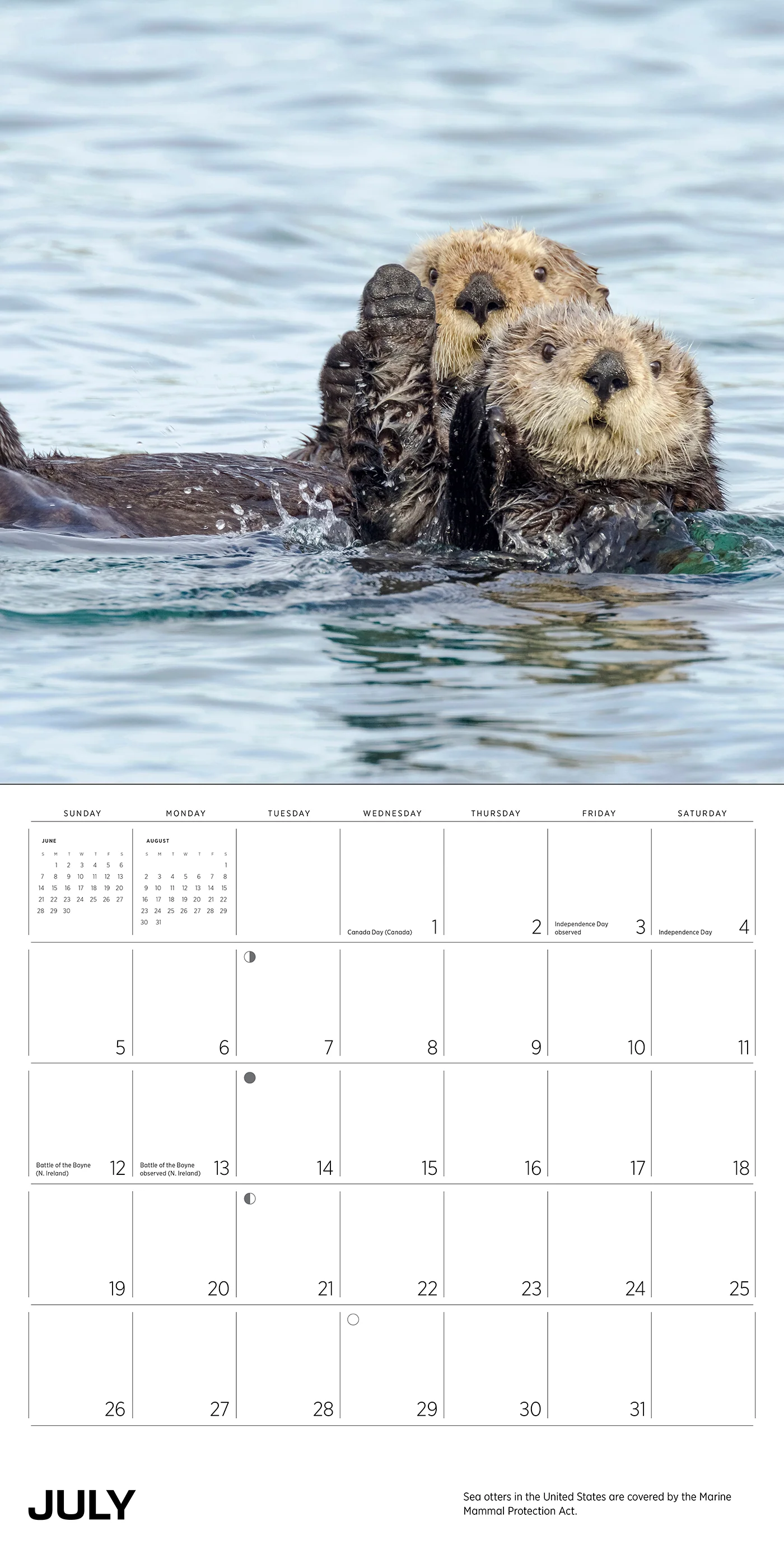 Sea Otters: Photographs by Tom and Pat Leeson 2026 Wall Calendar