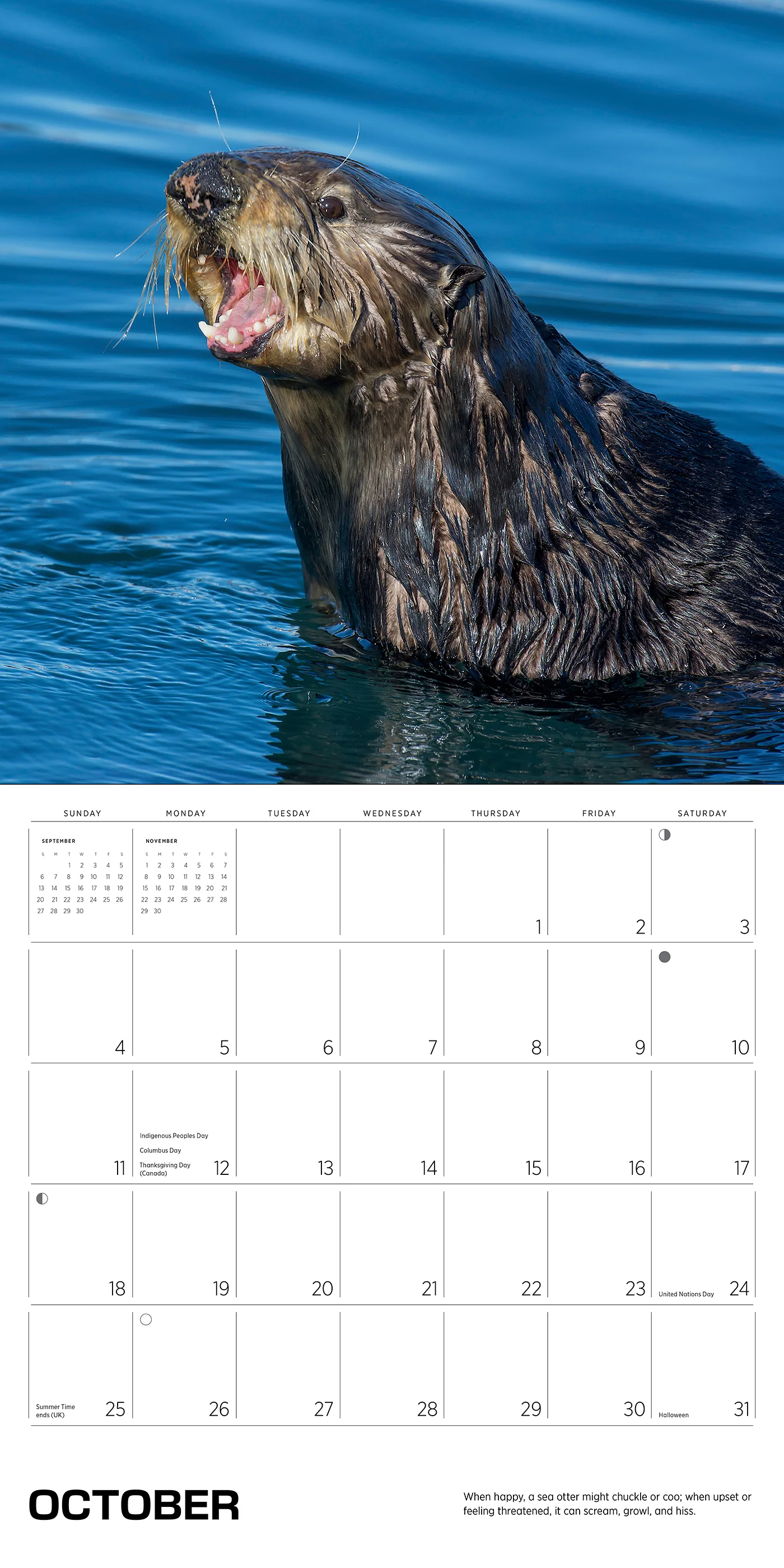 Sea Otters: Photographs by Tom and Pat Leeson 2026 Wall Calendar 6 Sea Otters: Photographs by Tom and Pat Leeson 2026 Wall Calendar