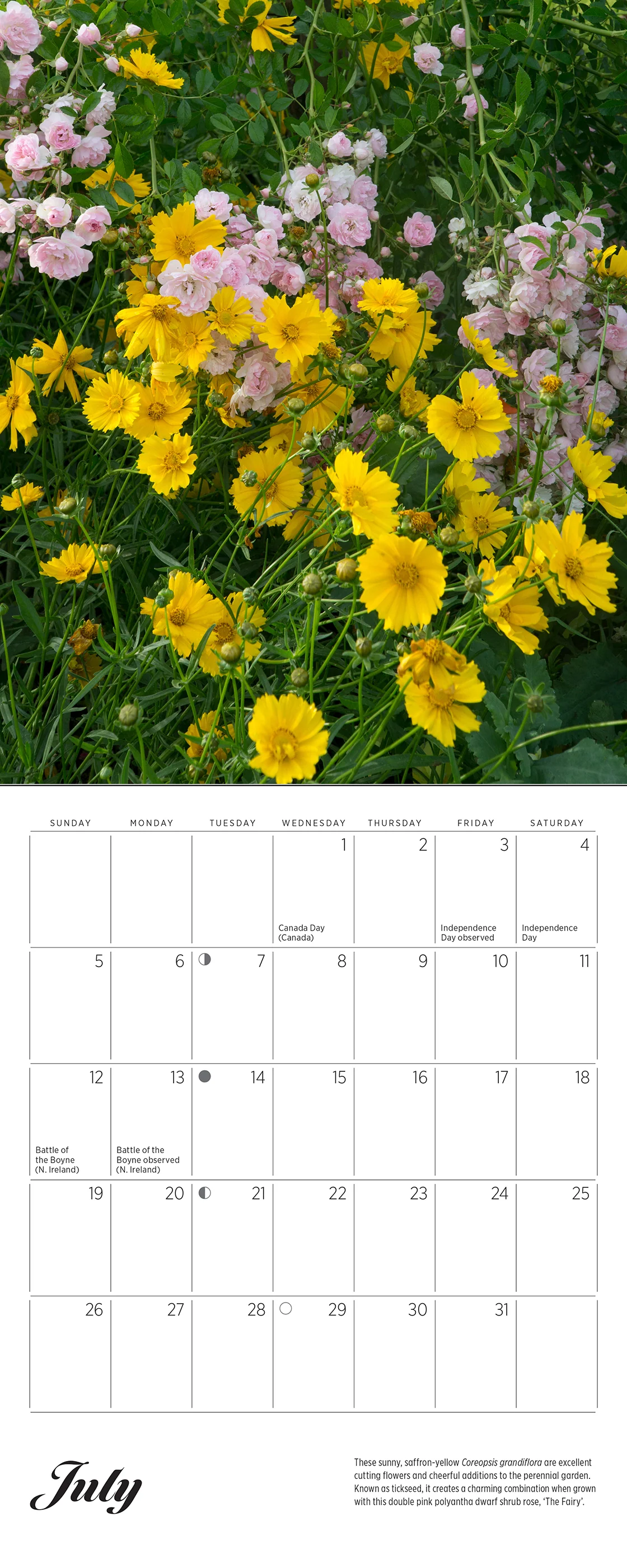 Monet’s Passion: The Gardens at Giverny 2026 Mini Wall Calendar