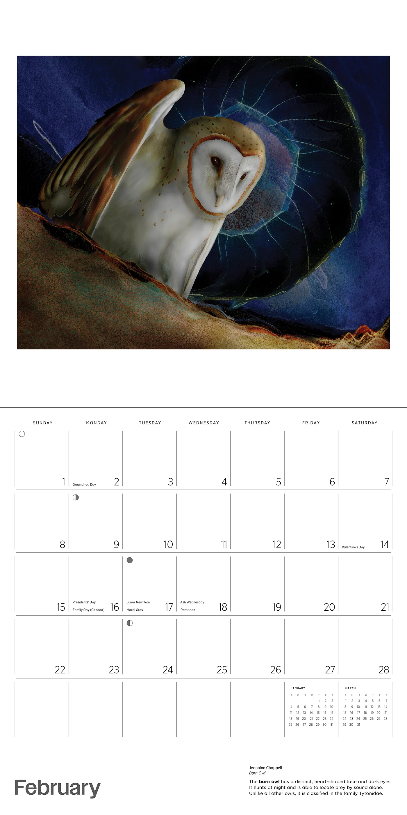 Owls: Jeannine Chappell 2026 Wall Calendar 4 Owls: Jeannine Chappell 2026 Wall Calendar