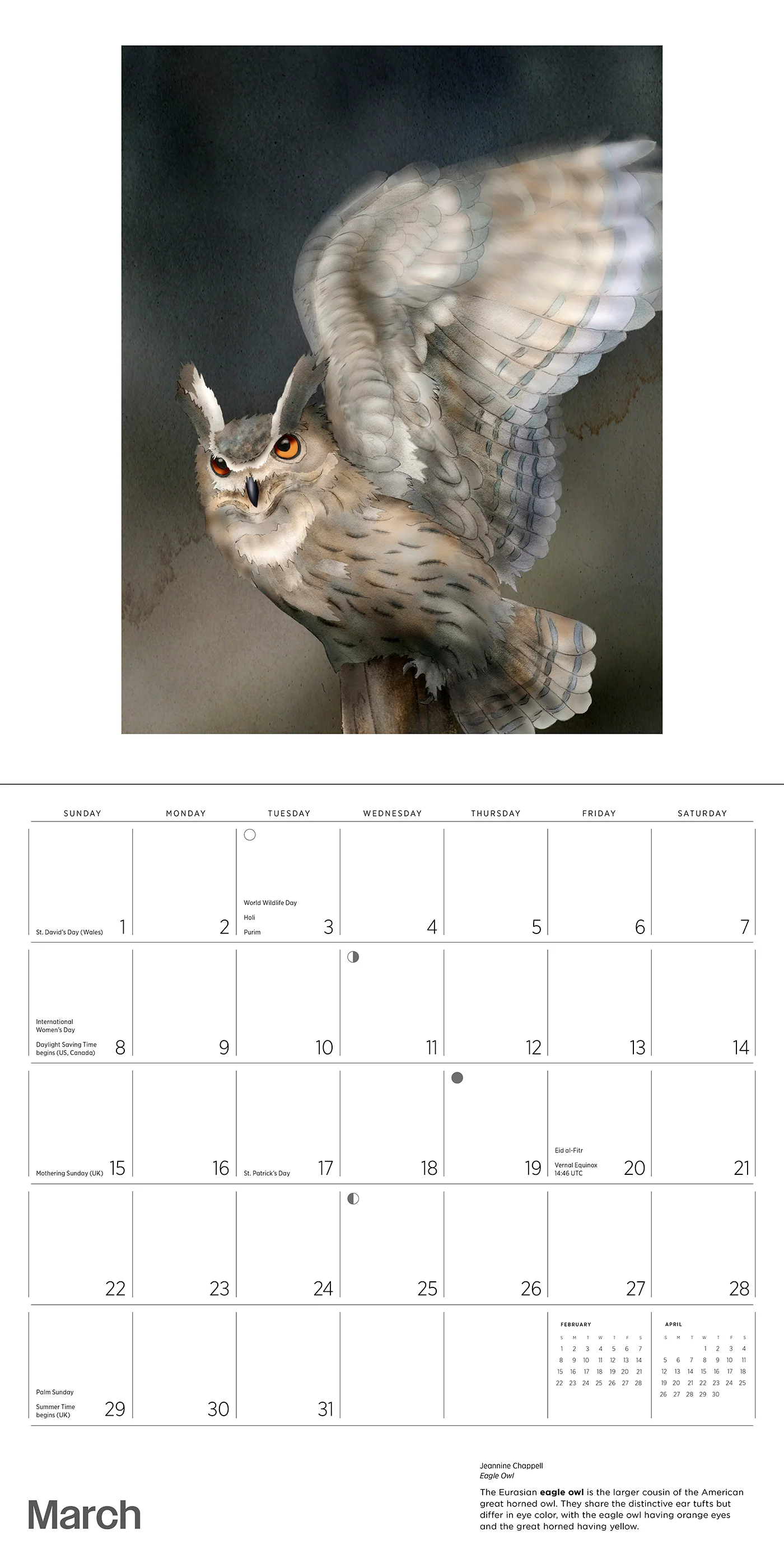 Owls: Jeannine Chappell 2026 Wall Calendar 5 Owls: Jeannine Chappell 2026 Wall Calendar