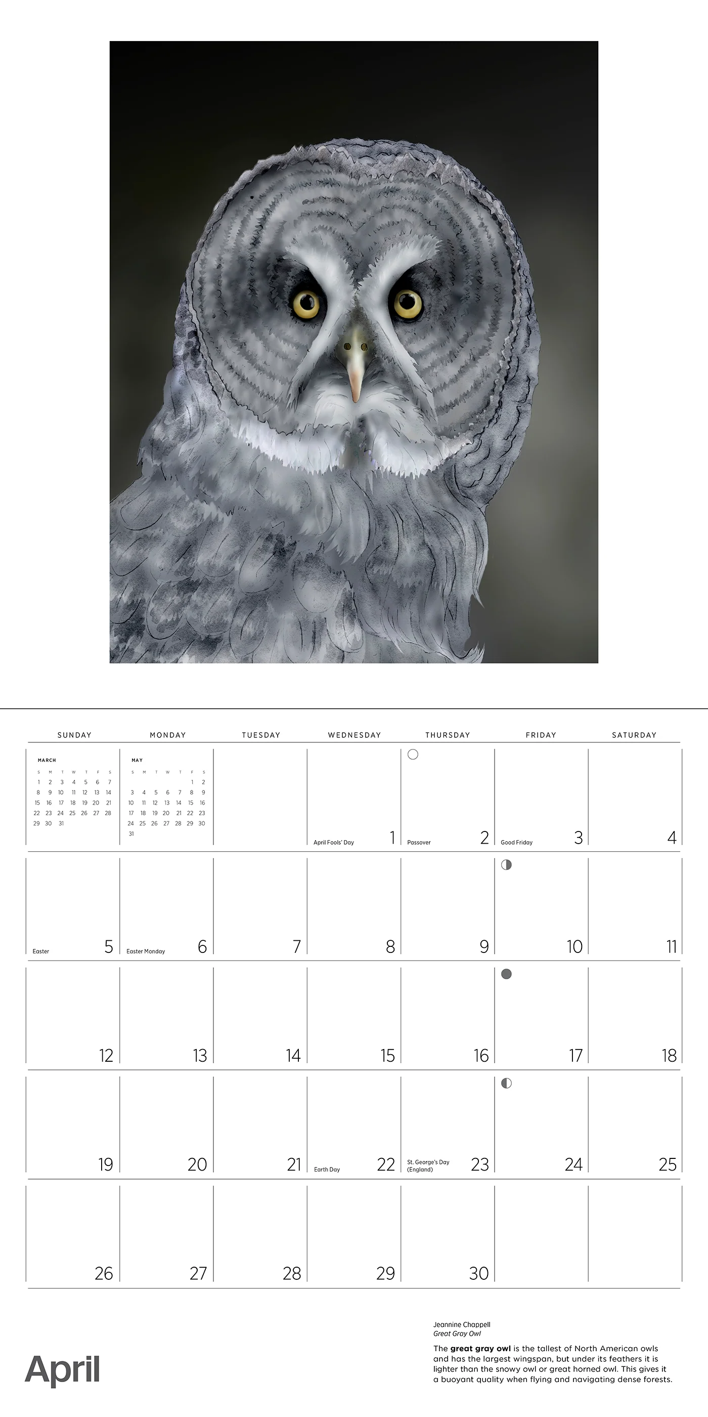 Owls: Jeannine Chappell 2026 Wall Calendar 6 Owls: Jeannine Chappell 2026 Wall Calendar