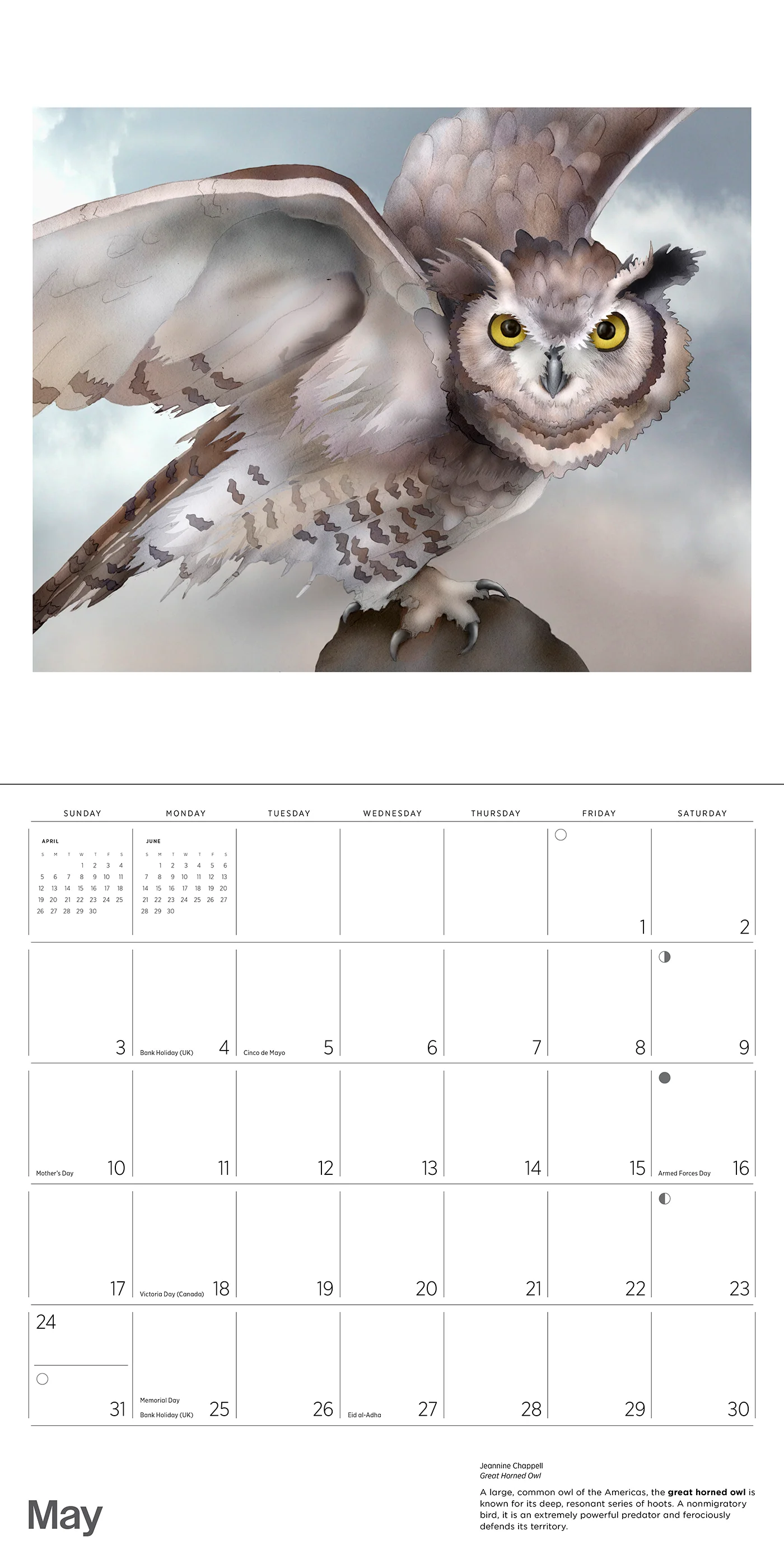 Owls: Jeannine Chappell 2026 Wall Calendar 7 Owls: Jeannine Chappell 2026 Wall Calendar