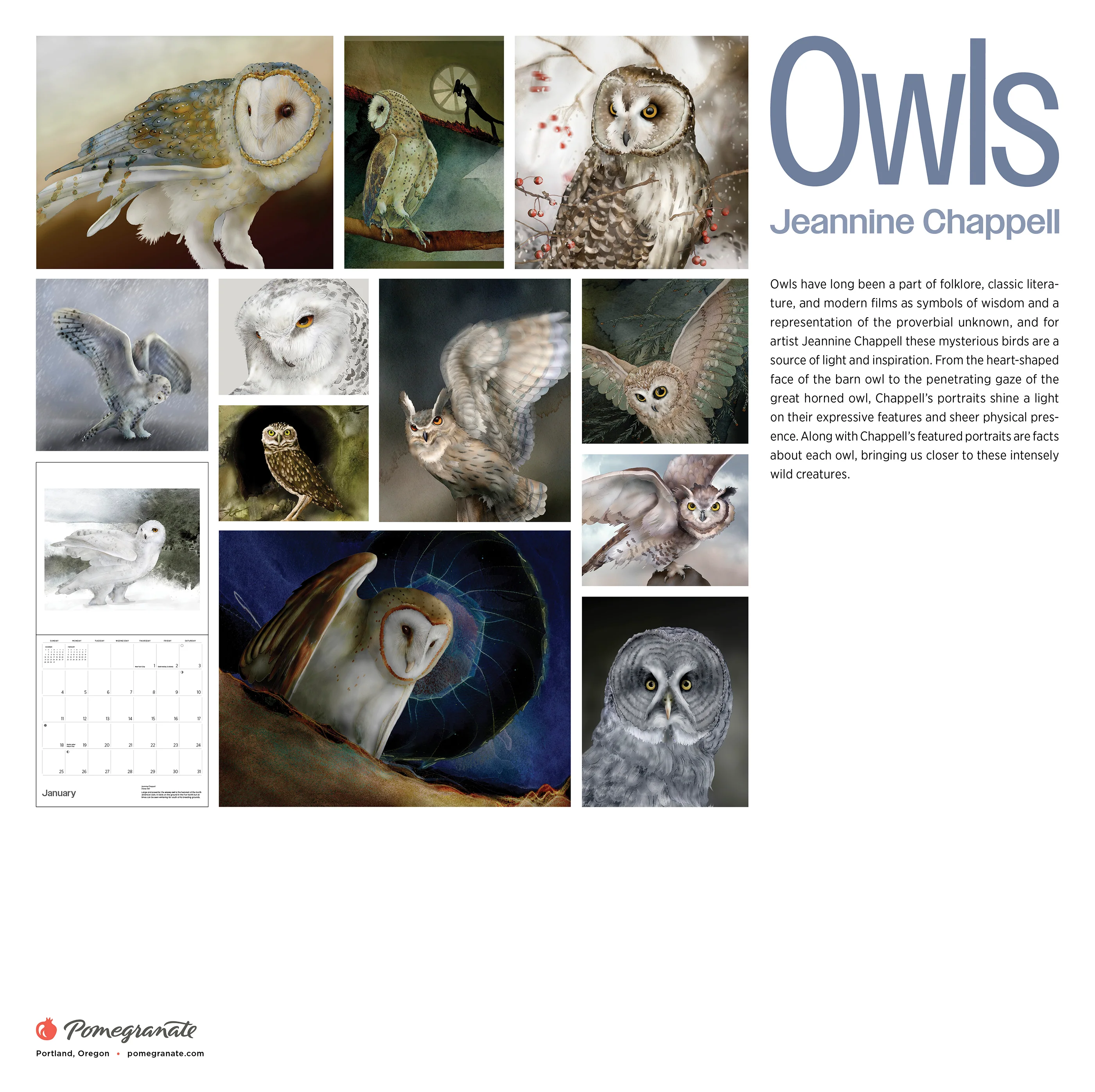 Owls: Jeannine Chappell 2026 Wall Calendar 8 Owls: Jeannine Chappell 2026 Wall Calendar