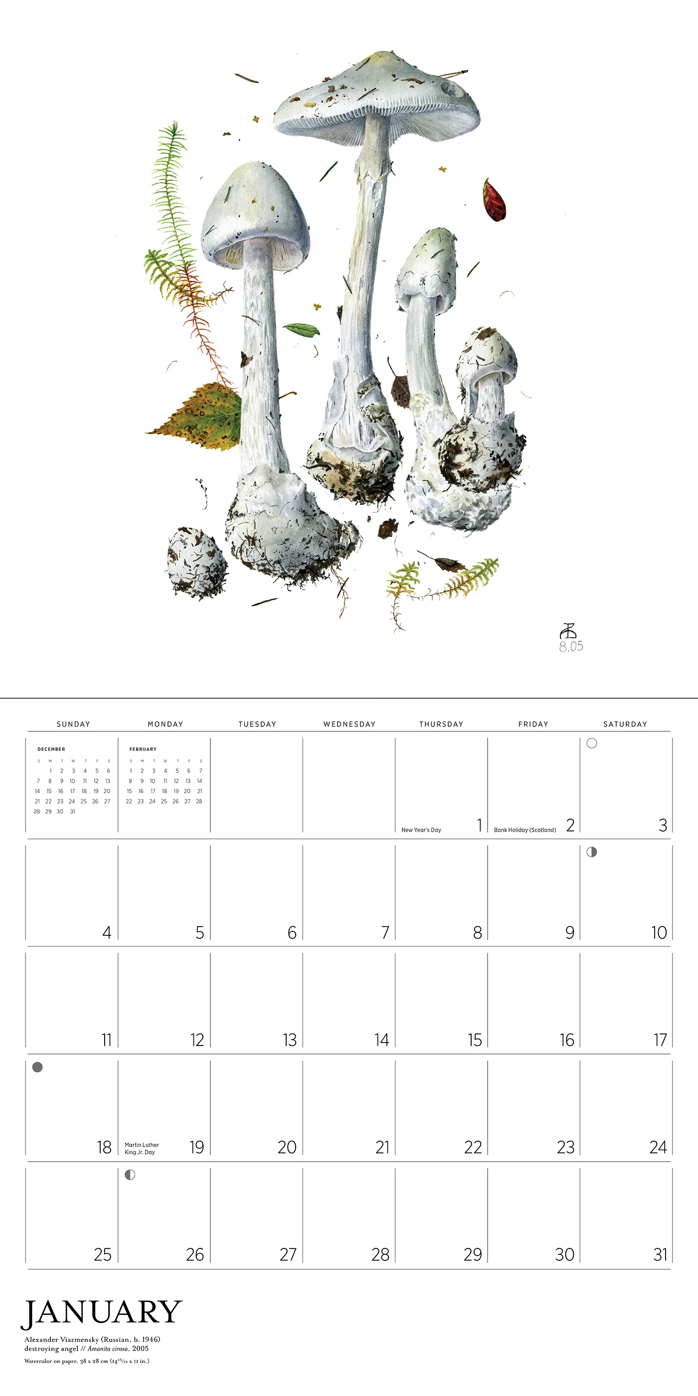 Mushrooms: Alexander Viazmensky 2026 Wall Calendar