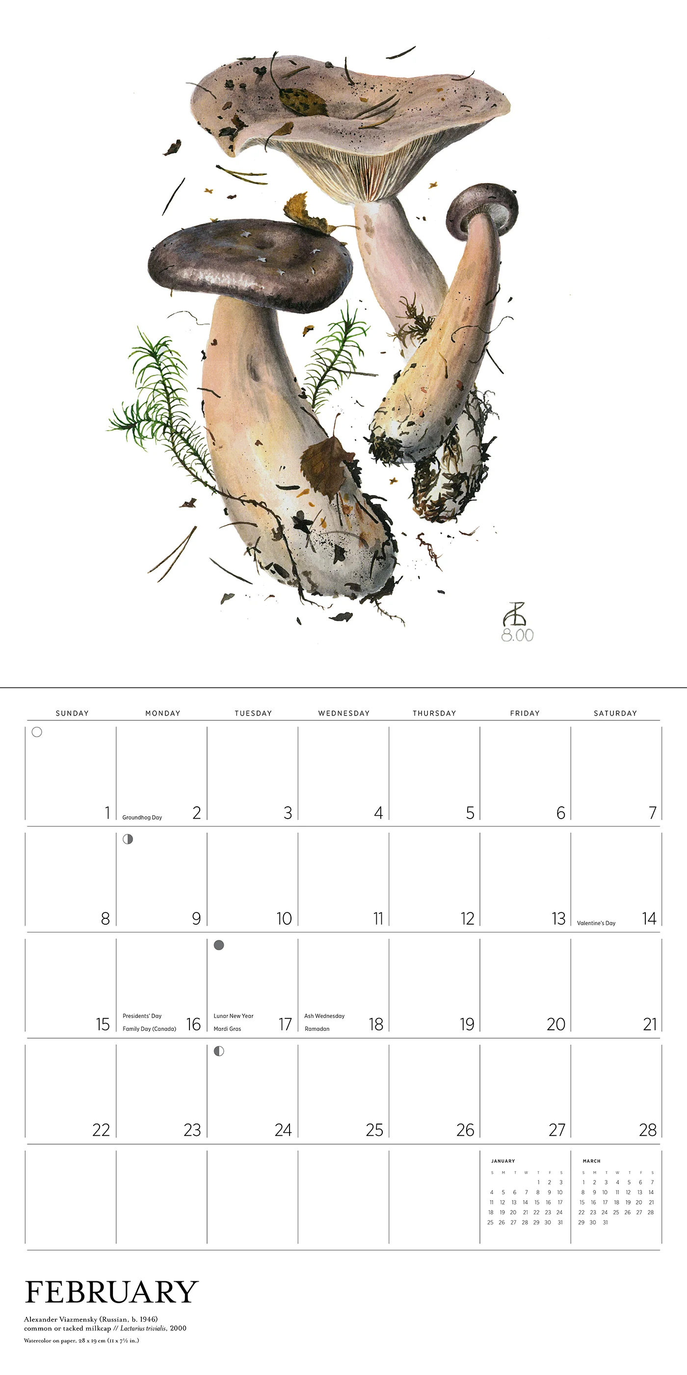 Mushrooms: Alexander Viazmensky 2026 Wall Calendar 4 Mushrooms: Alexander Viazmensky 2026 Wall Calendar