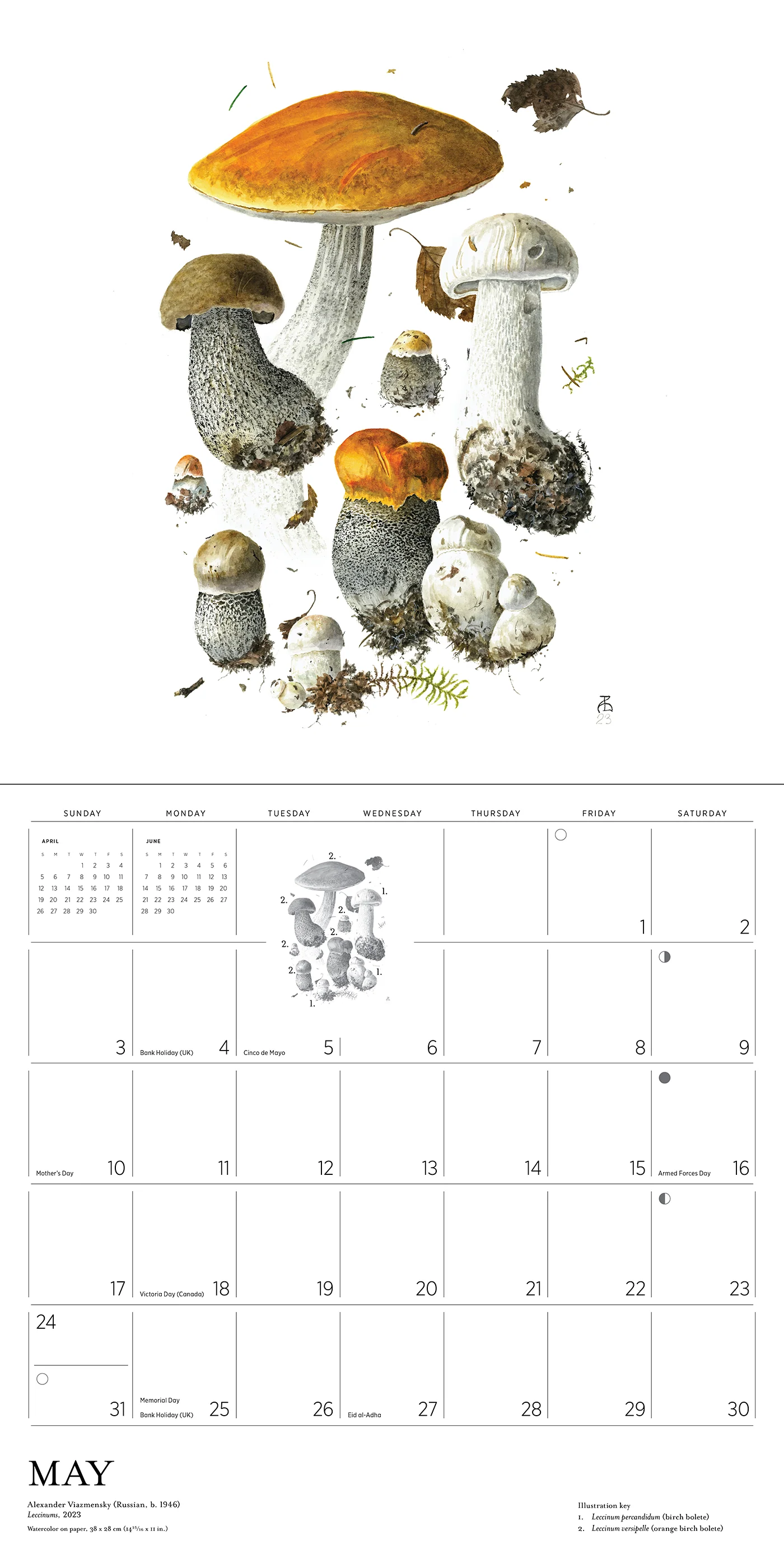 Mushrooms: Alexander Viazmensky 2026 Wall Calendar 5 Mushrooms: Alexander Viazmensky 2026 Wall Calendar