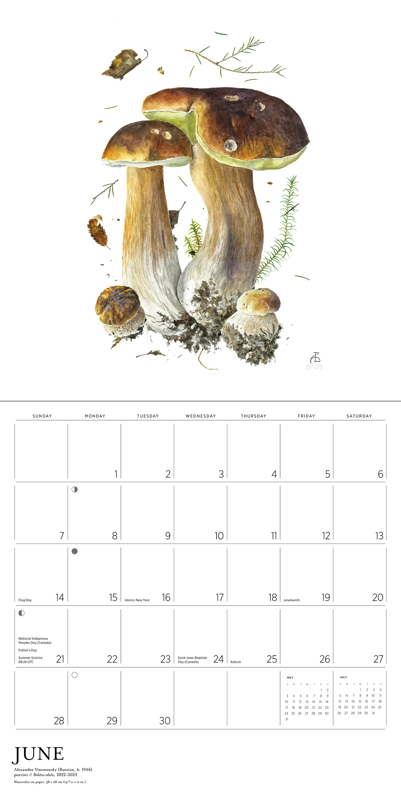 Mushrooms: Alexander Viazmensky 2026 Wall Calendar 6 Mushrooms: Alexander Viazmensky 2026 Wall Calendar