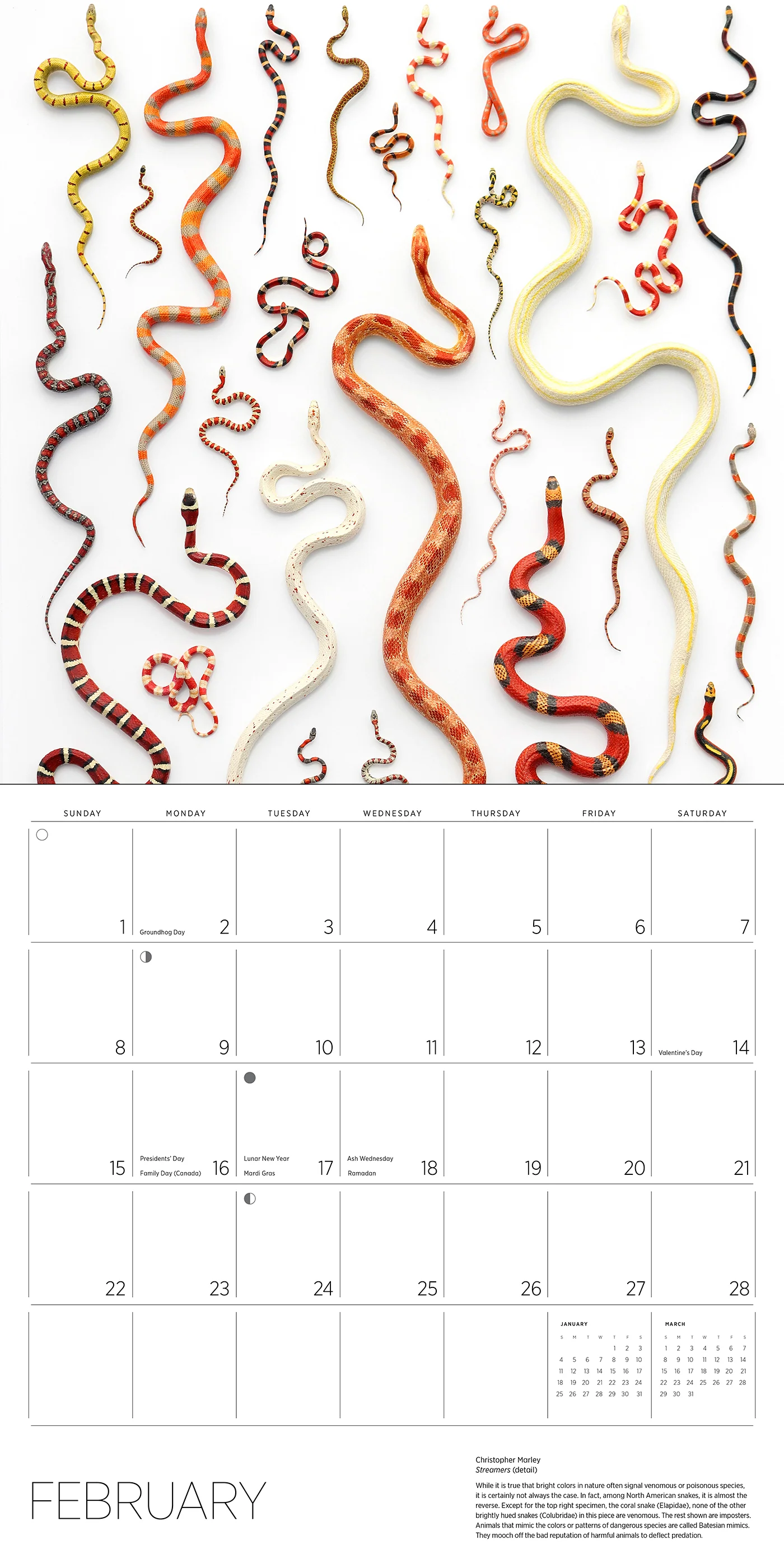 Exquisite Creatures: The Art of Christopher Marley 2026 Wall Calendar