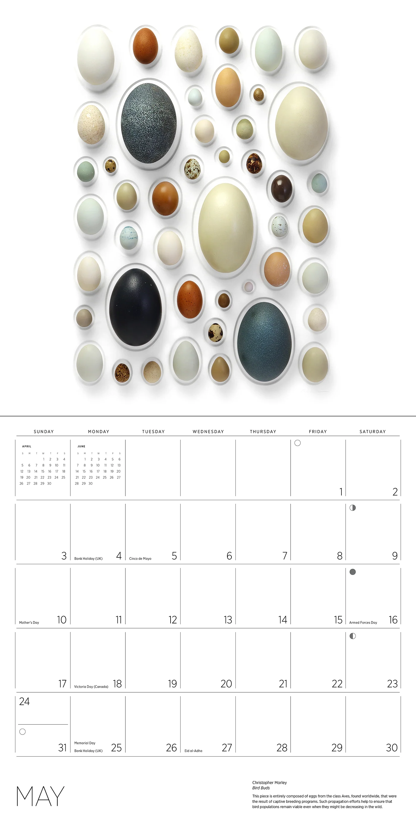 Exquisite Creatures: The Art of Christopher Marley 2026 Wall Calendar 4 Exquisite Creatures: The Art of Christopher Marley 2026 Wall Calendar