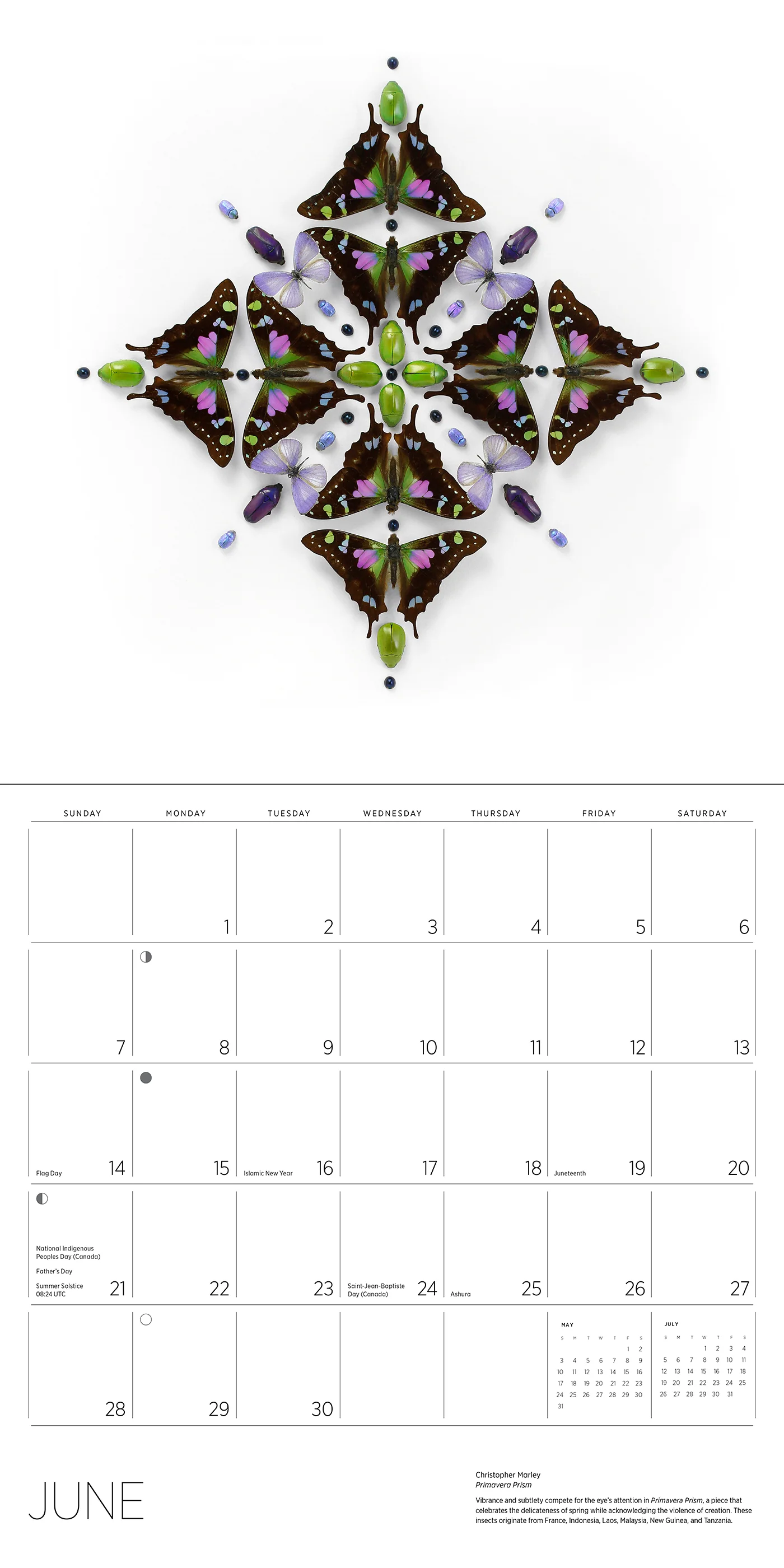 Exquisite Creatures: The Art of Christopher Marley 2026 Wall Calendar 5 Exquisite Creatures: The Art of Christopher Marley 2026 Wall Calendar