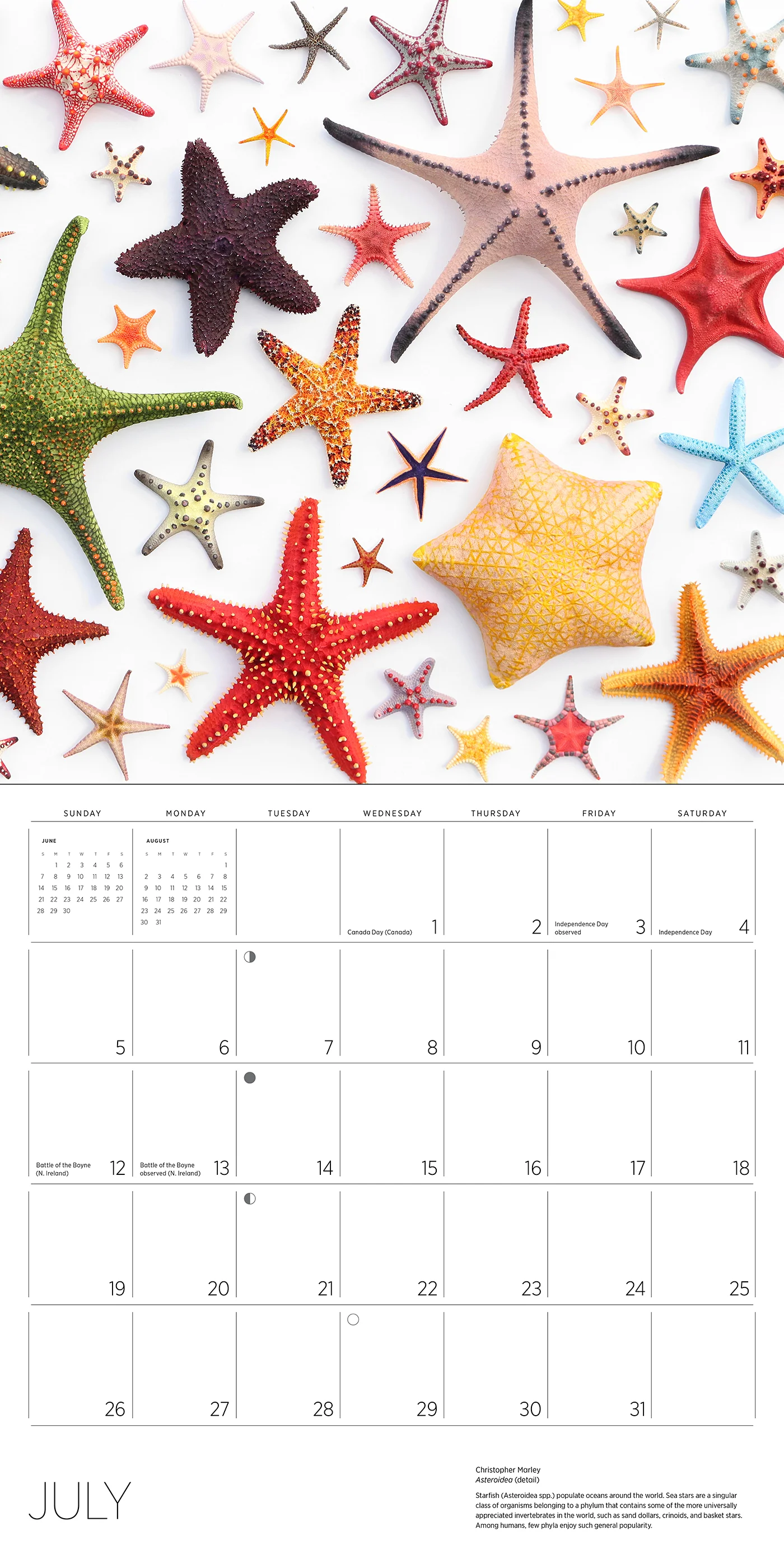 Exquisite Creatures: The Art of Christopher Marley 2026 Wall Calendar 6 Exquisite Creatures: The Art of Christopher Marley 2026 Wall Calendar