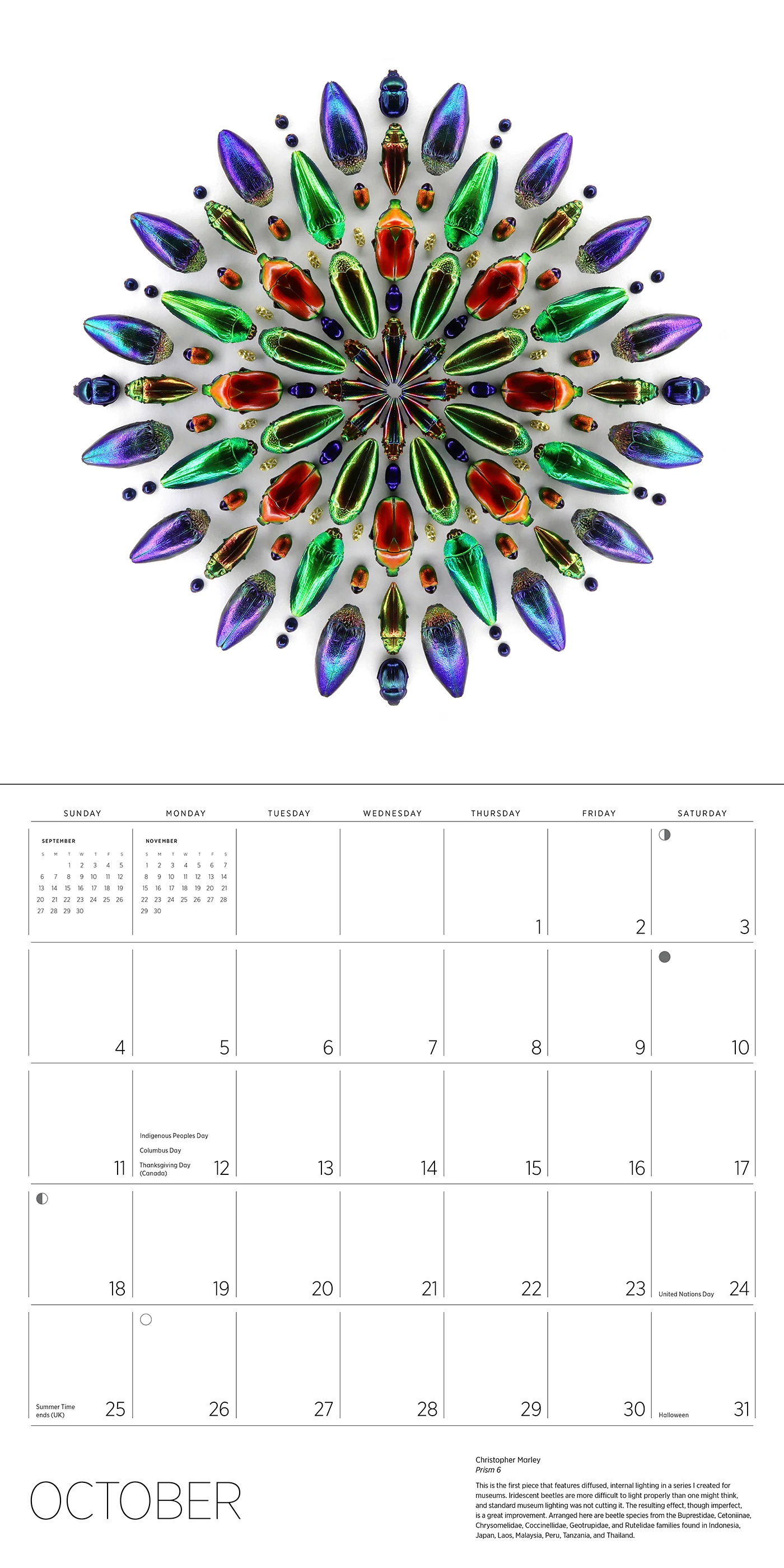 Exquisite Creatures: The Art of Christopher Marley 2026 Wall Calendar 7 Exquisite Creatures: The Art of Christopher Marley 2026 Wall Calendar