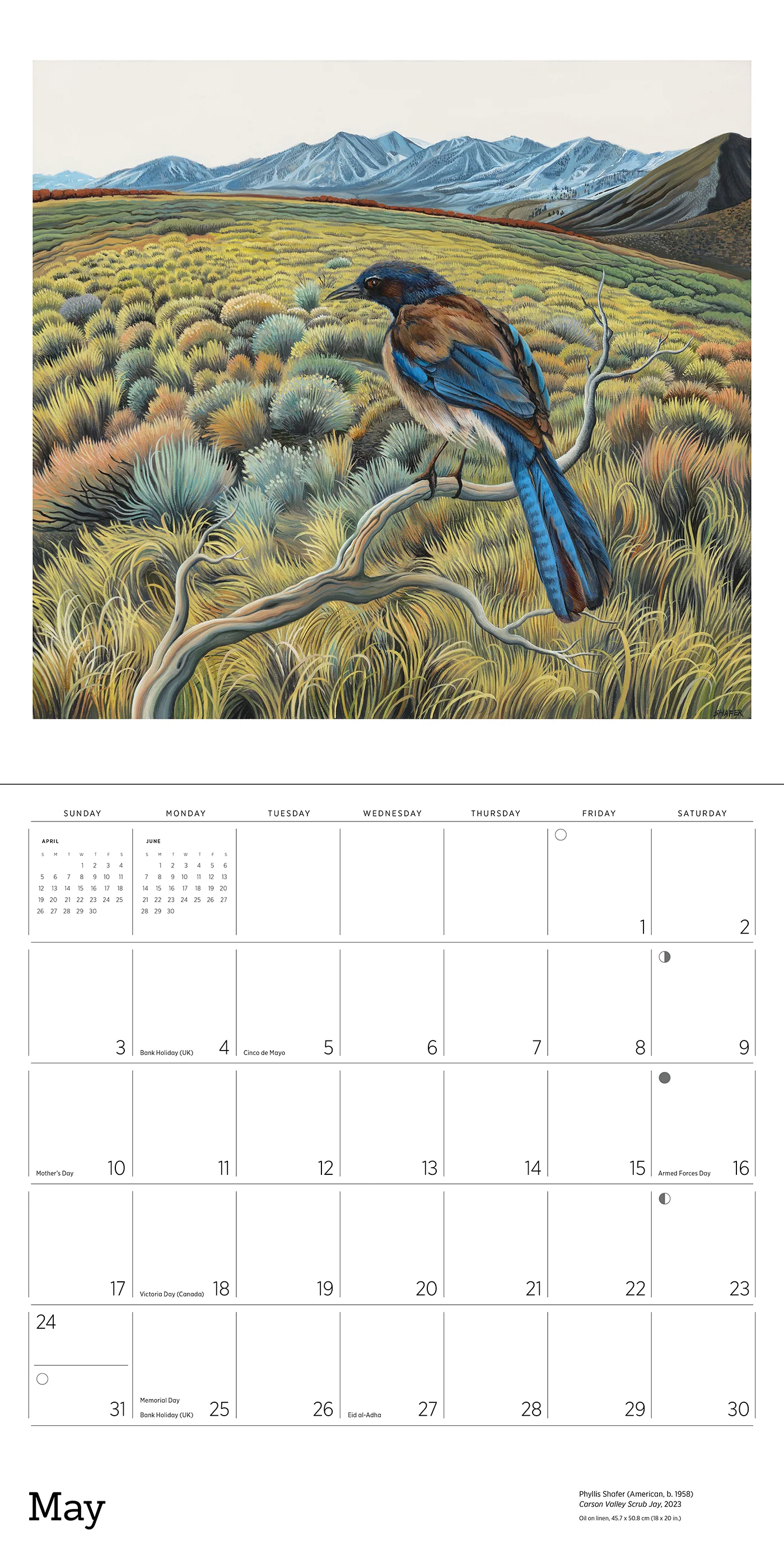 Phyllis Shafer: Nature Divine 2026 Wall Calendar 7 Phyllis Shafer: Nature Divine 2026 Wall Calendar