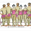 Edward Gorey: The Pedalling Palludinis Postcard