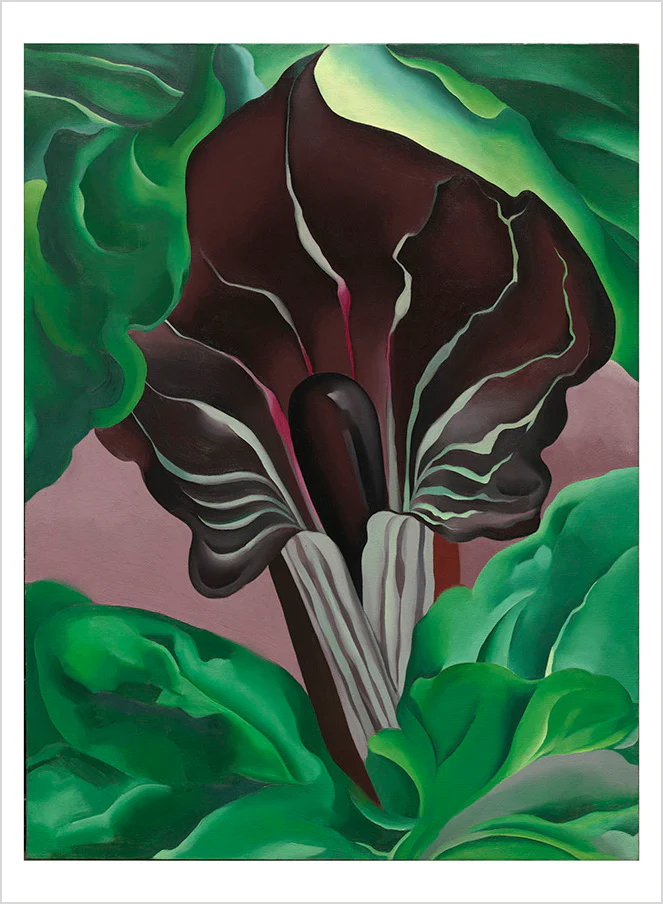 Georgia O'Keeffe: Abstraction Book of Postcards
