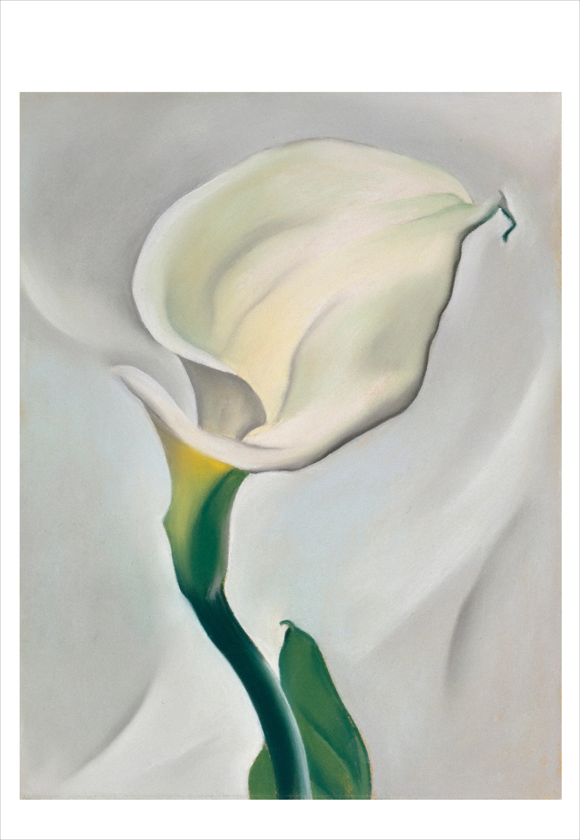 Georgia O'Keeffe Book of Postcards