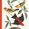 John James Audubon Birder’s Journal