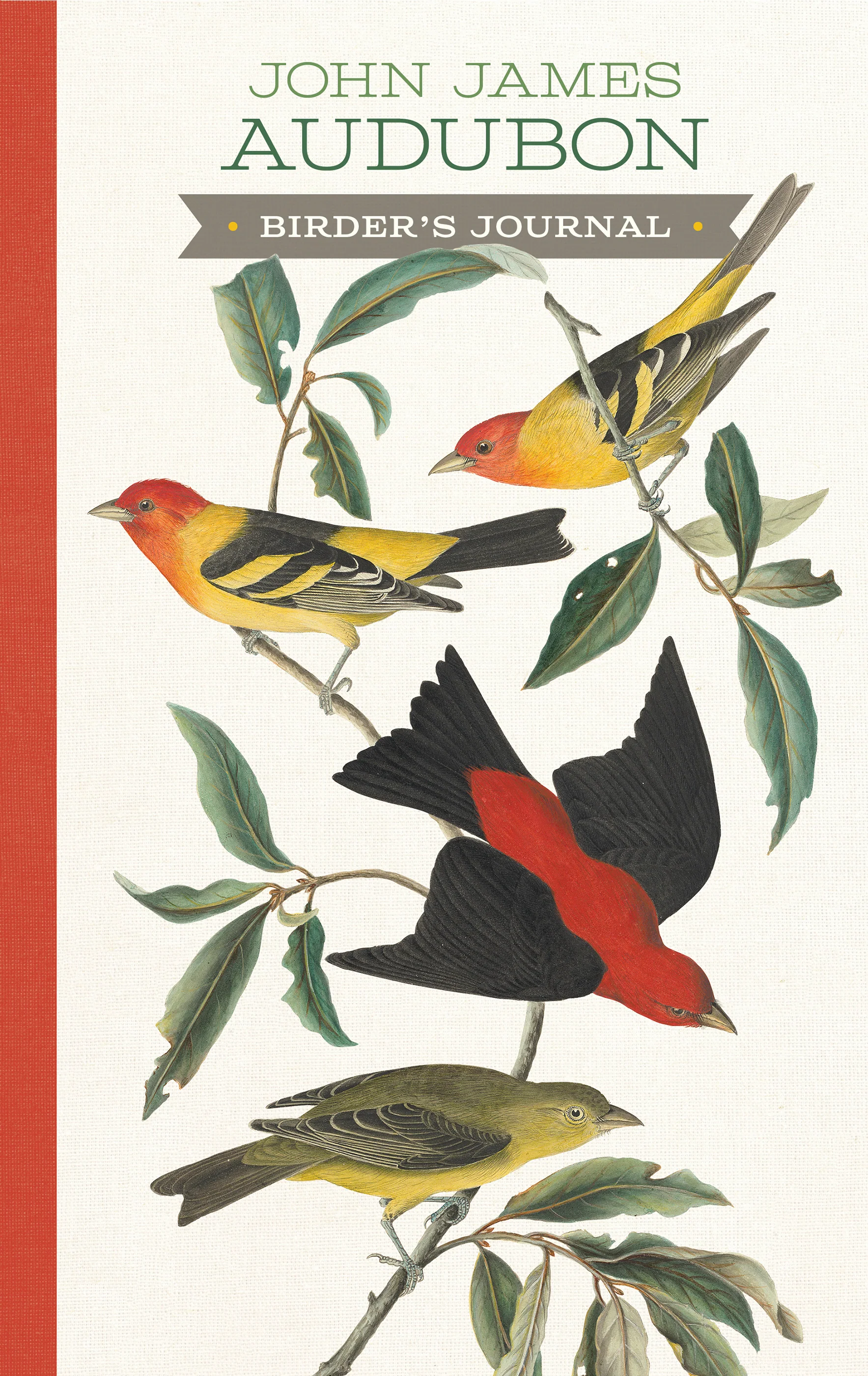 Home 11 John James Audubon Birder’s Journal