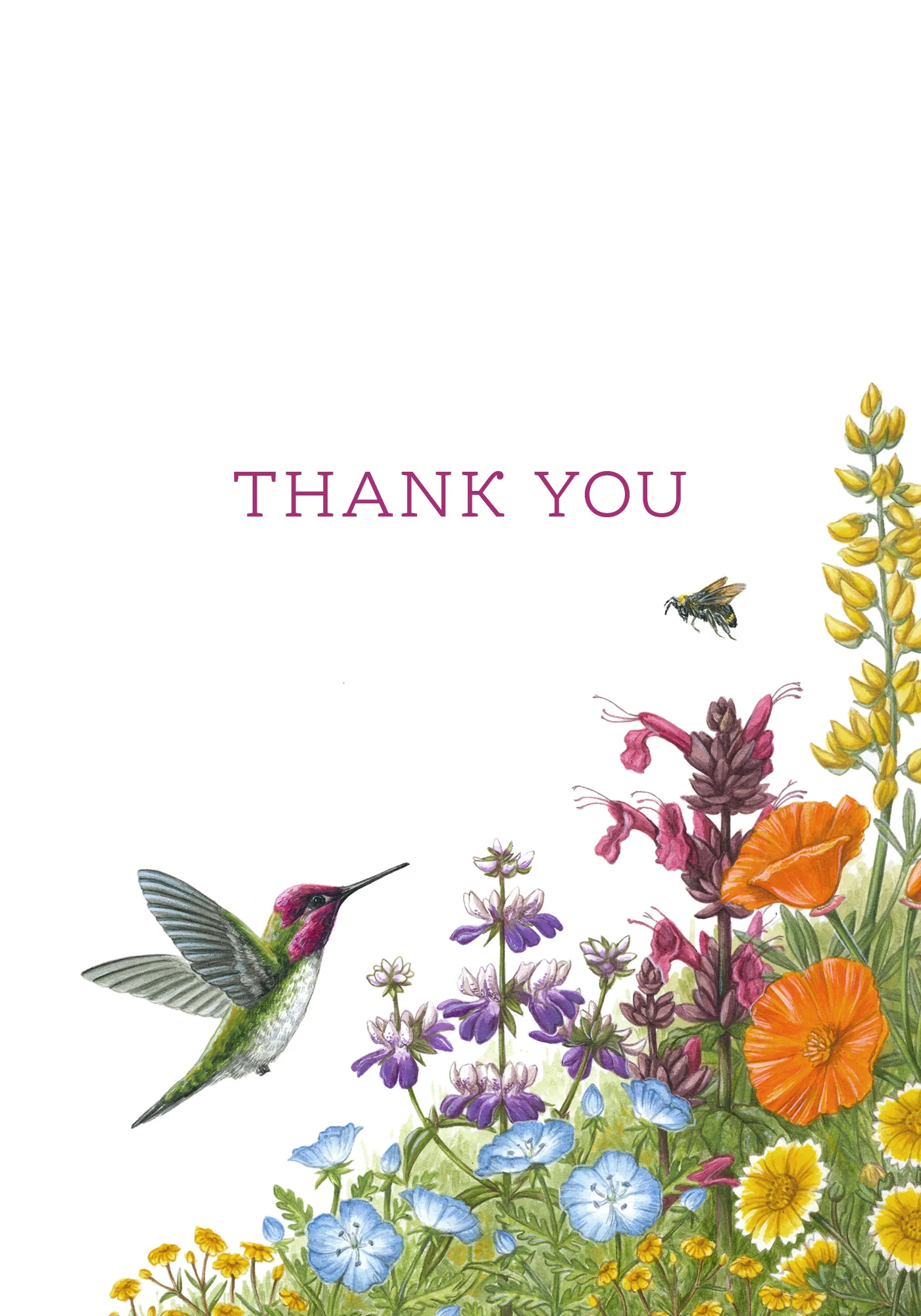 Erin E. Hunter: Wildflowers Thank You Notes