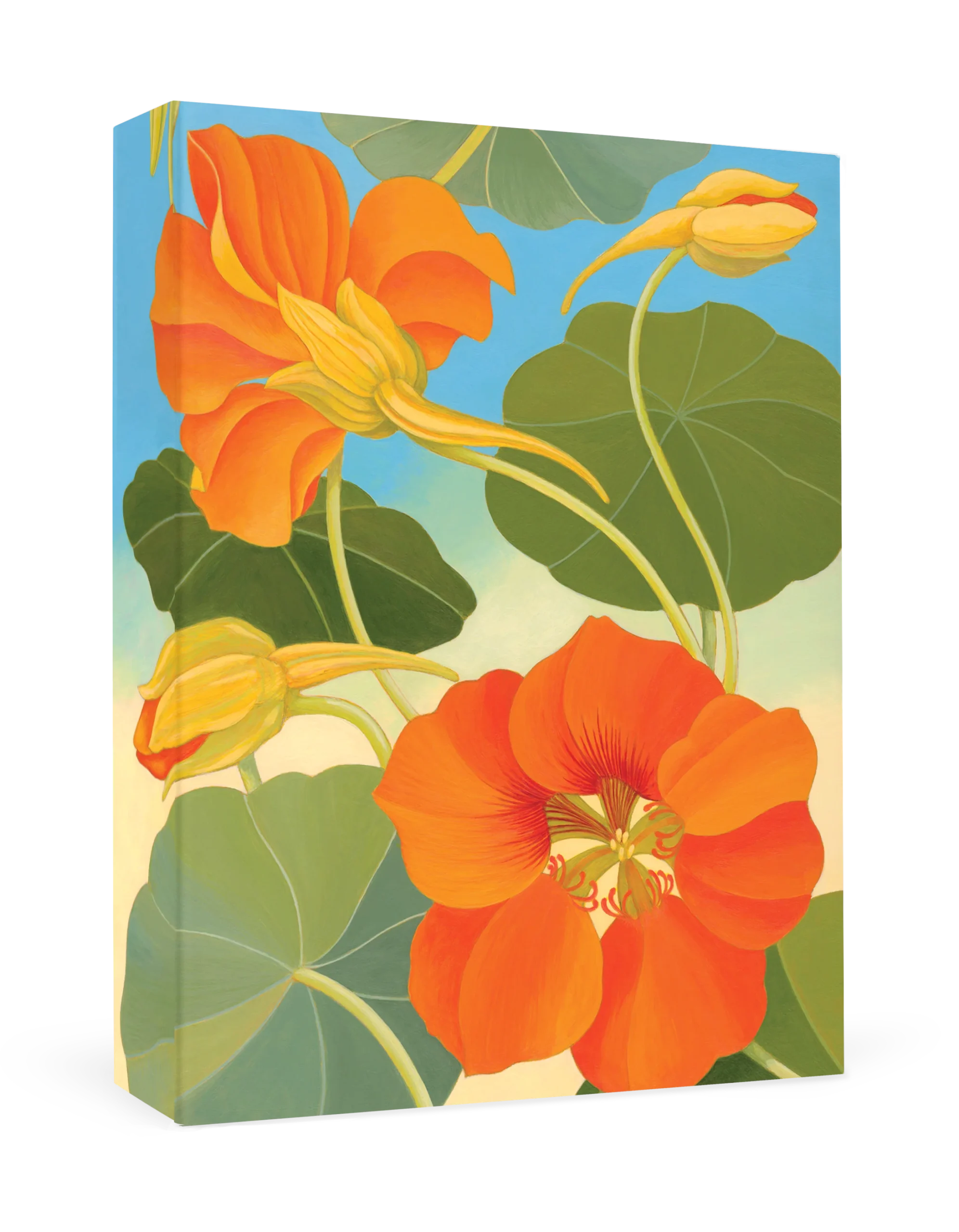 Siri Schillios: Nasturtium Boxed Thank You Notes