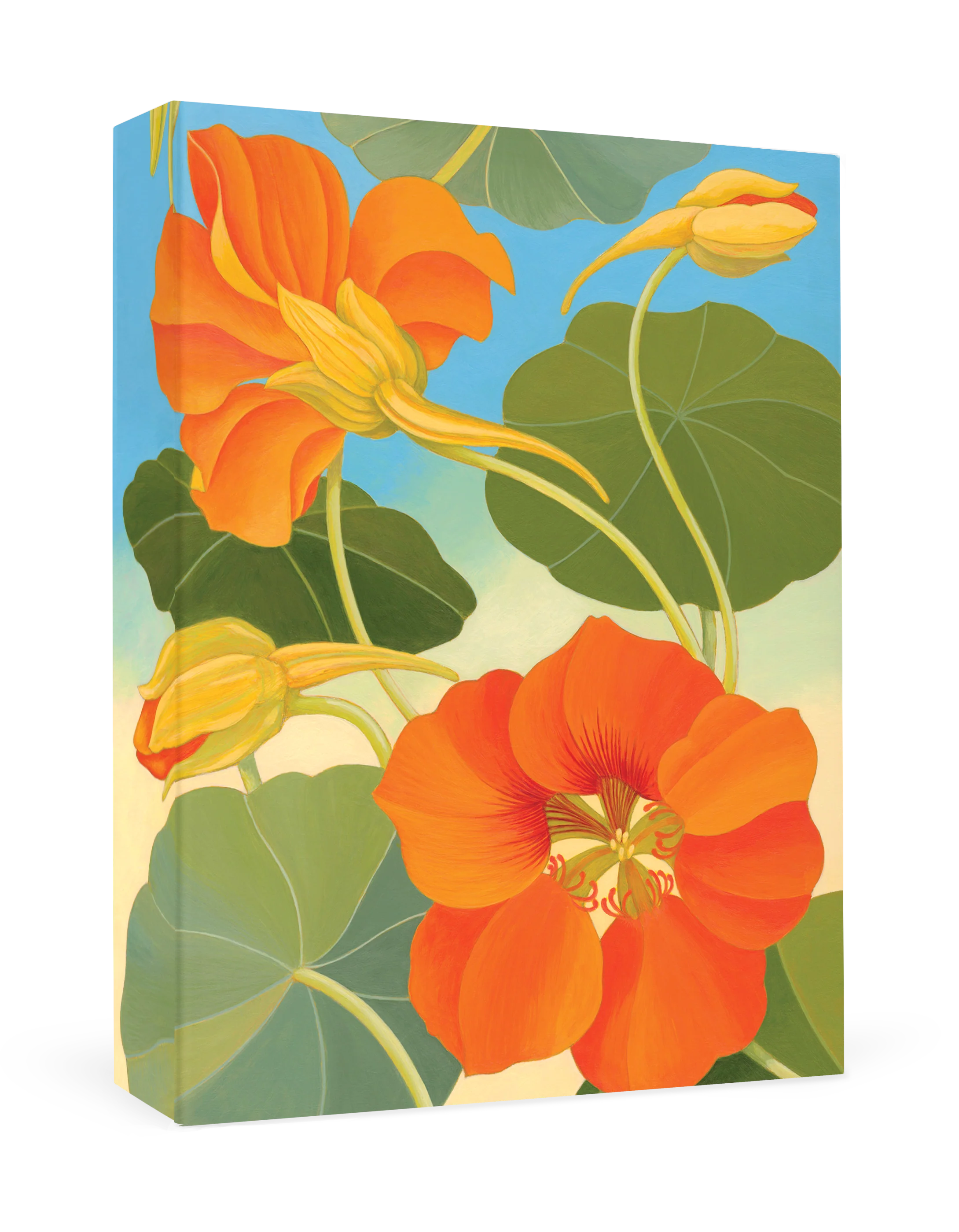 Siri Schillios: Nasturtium Boxed Thank You Notes