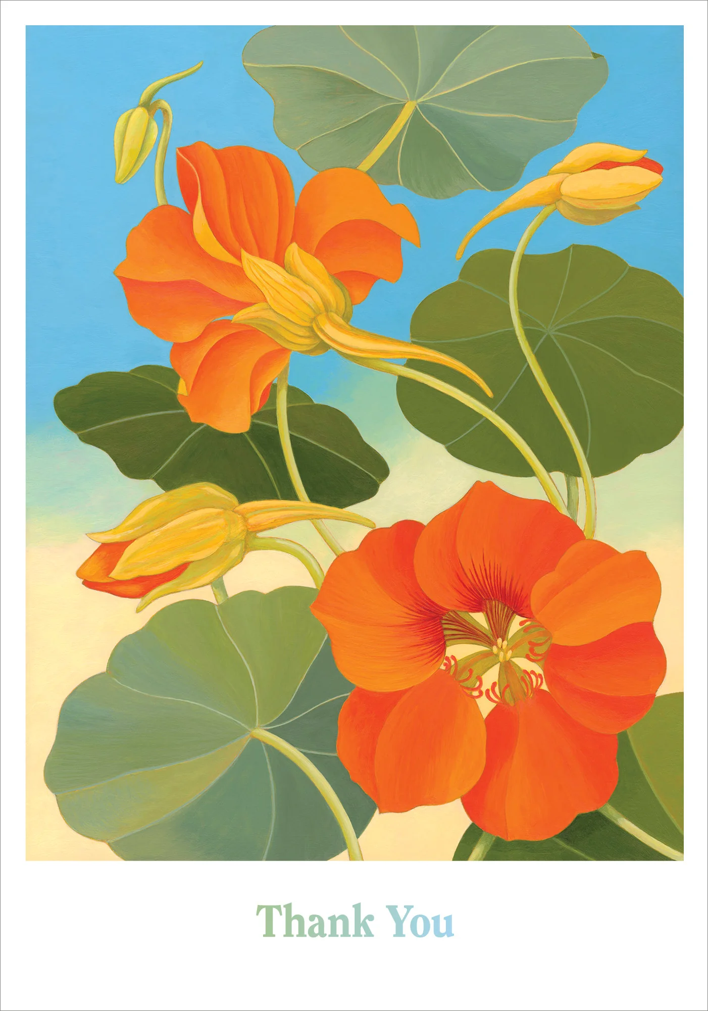 Siri Schillios: Nasturtium Boxed Thank You Notes