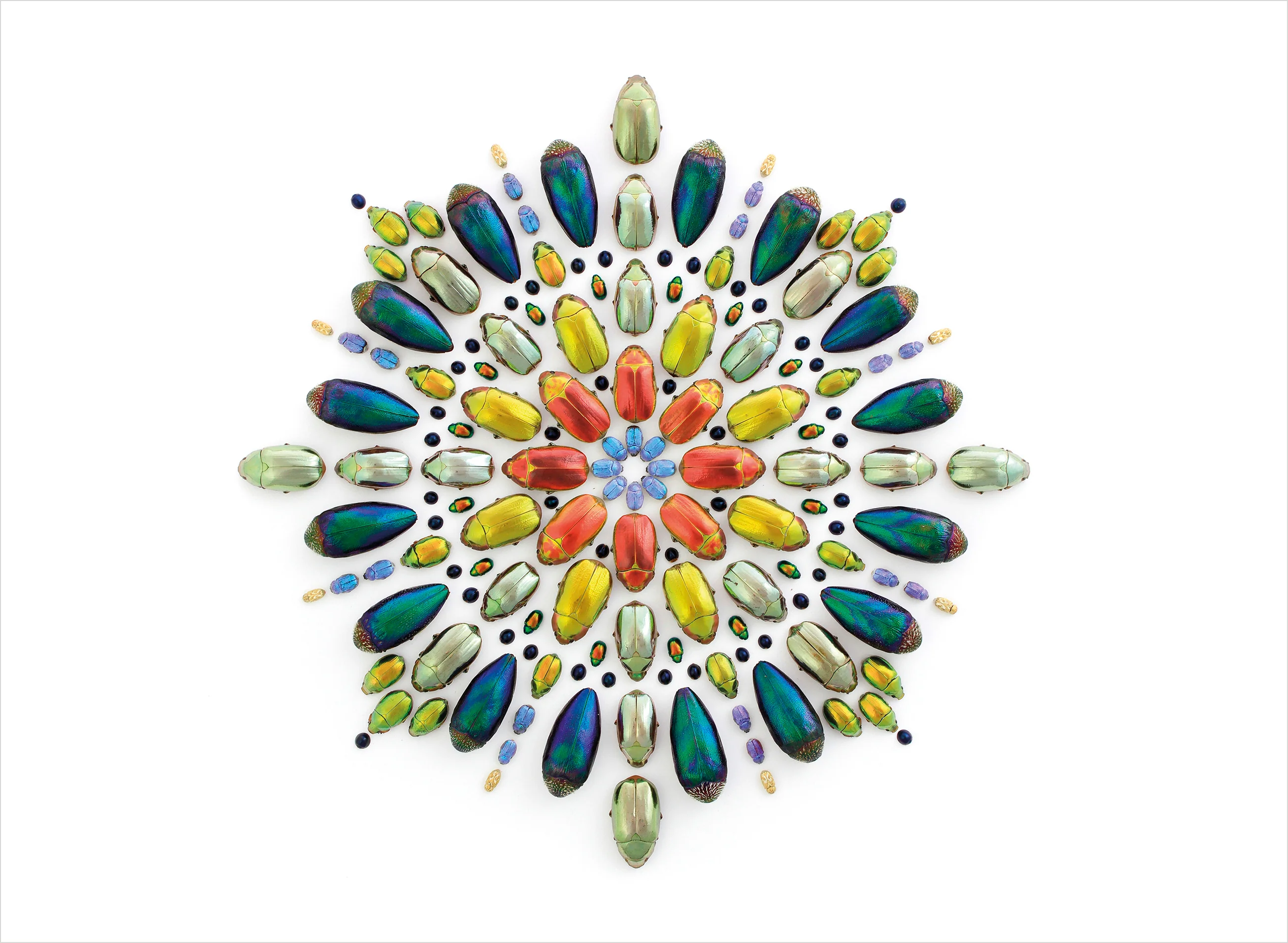 Biophilia: The Art of Christopher Marley Book of Postcards
