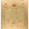 Leonardo da Vinci: Vitruvian Man Postcard